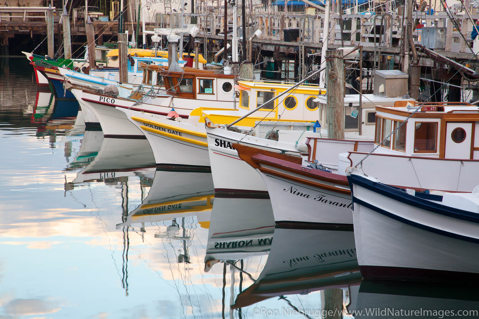 Monterey Hull Boats, Fisherman's Wharf, San Francisco, CA