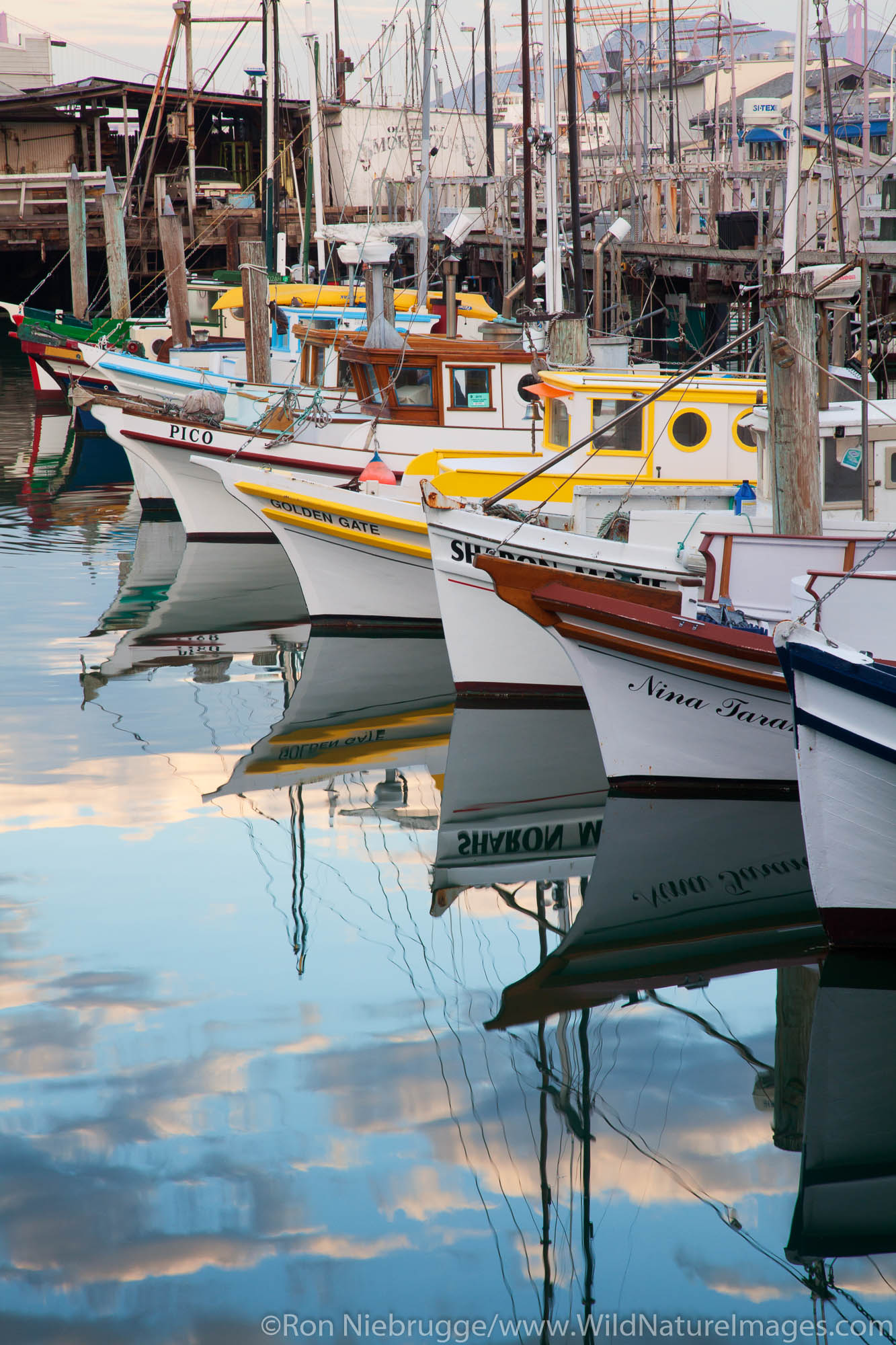 Monterey Hull Boats, Fisherman's Wharf, San Francisco, CA