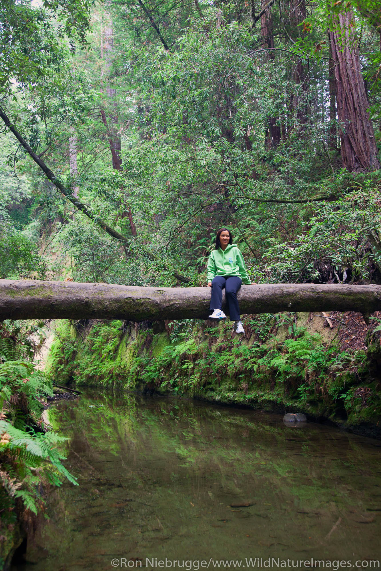 Hiking in The Forest of Nisene Marks State Park, Aptos, California.  (Model Released)