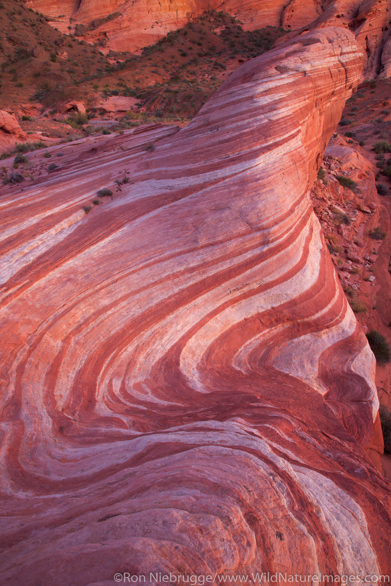 Fire Wave, Valley of Fire State Park, not far from Las Vegas, Nevada.