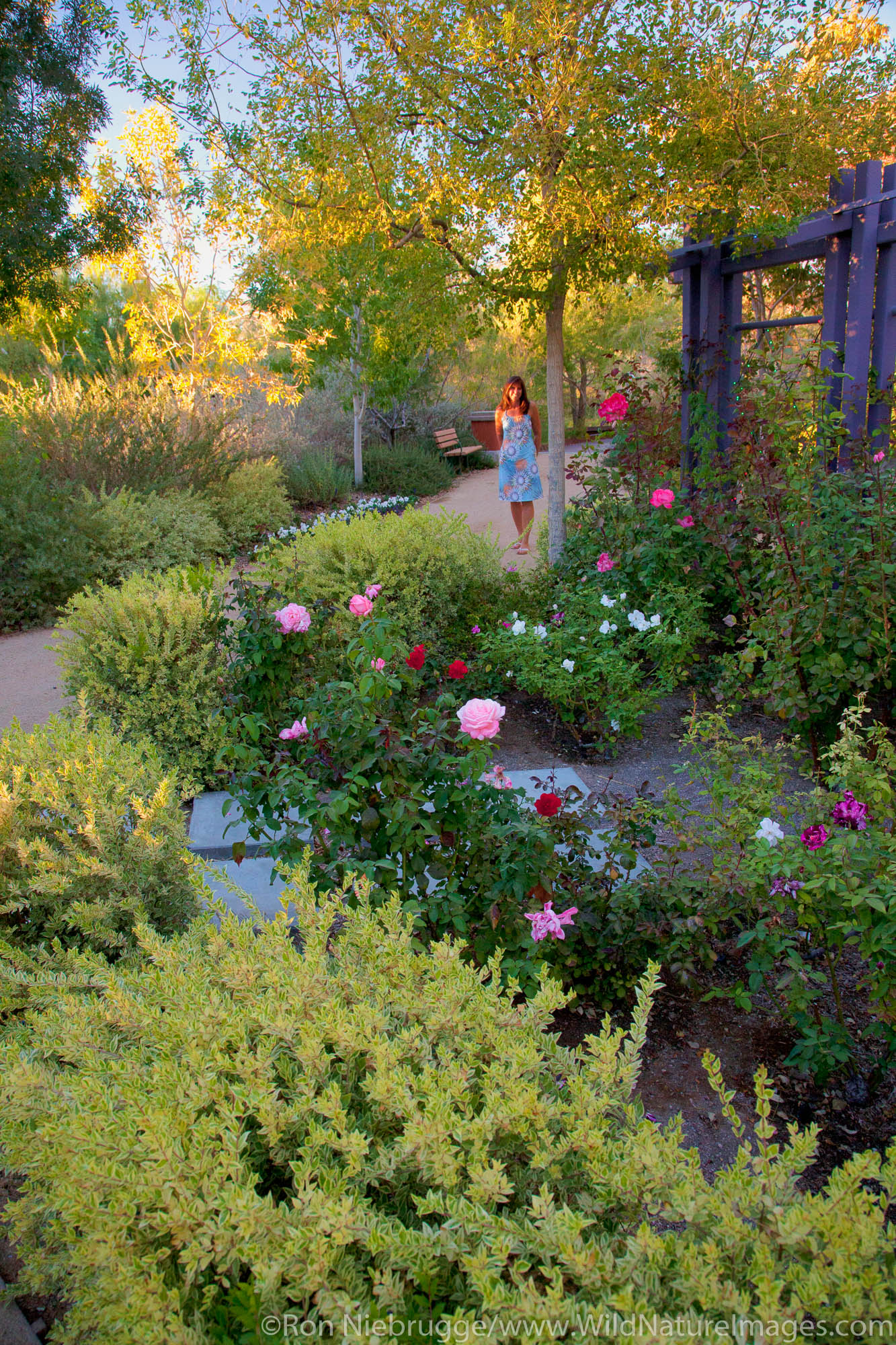 Springs Preserve Photos by Ron Niebrugge