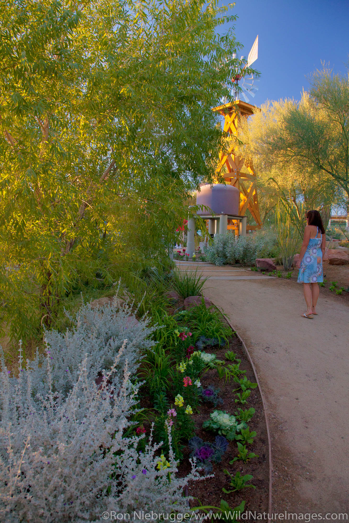 Springs Preserve Photos by Ron Niebrugge