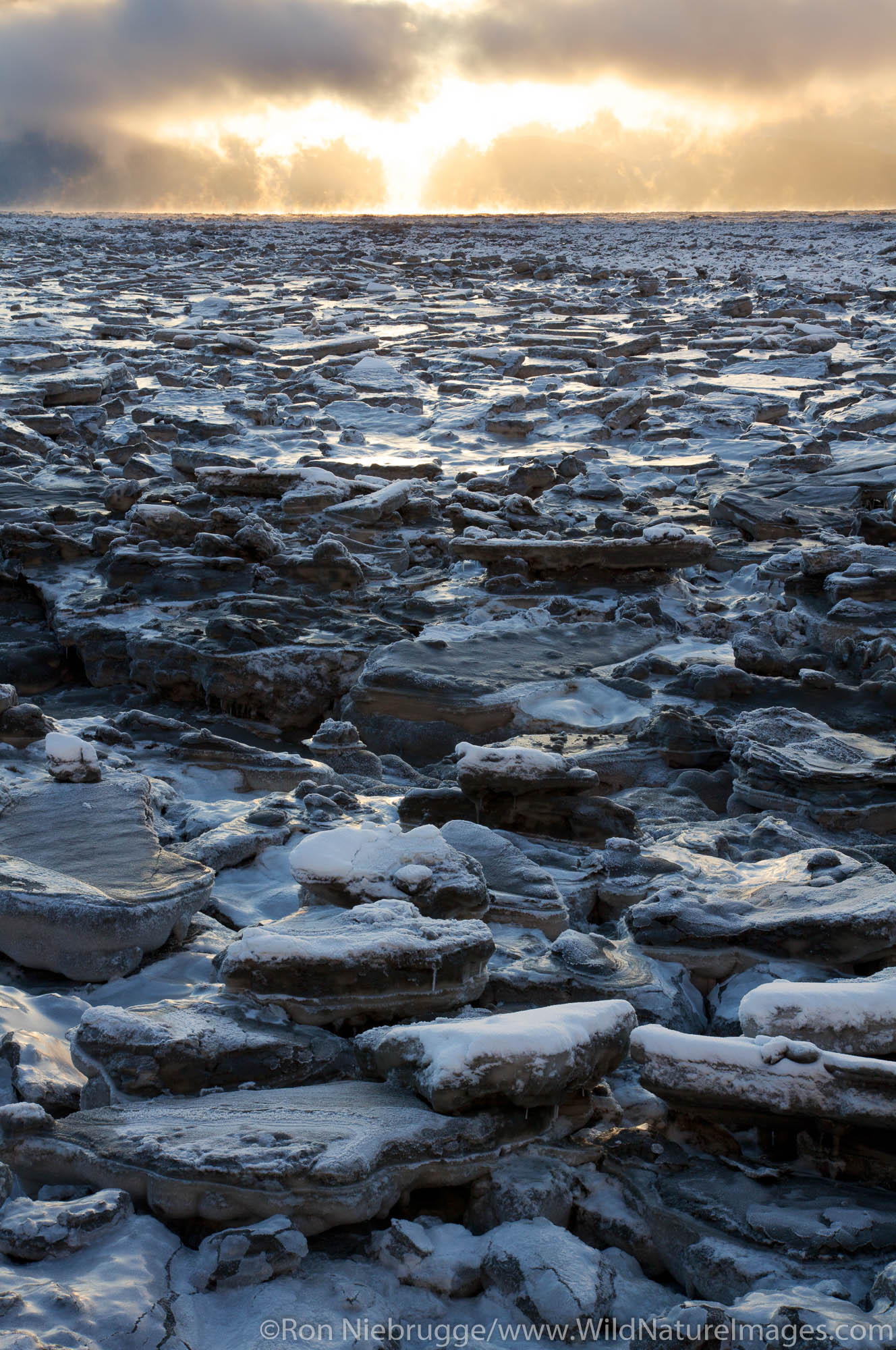 Ice flows on Turnagain Arm, Alaska.