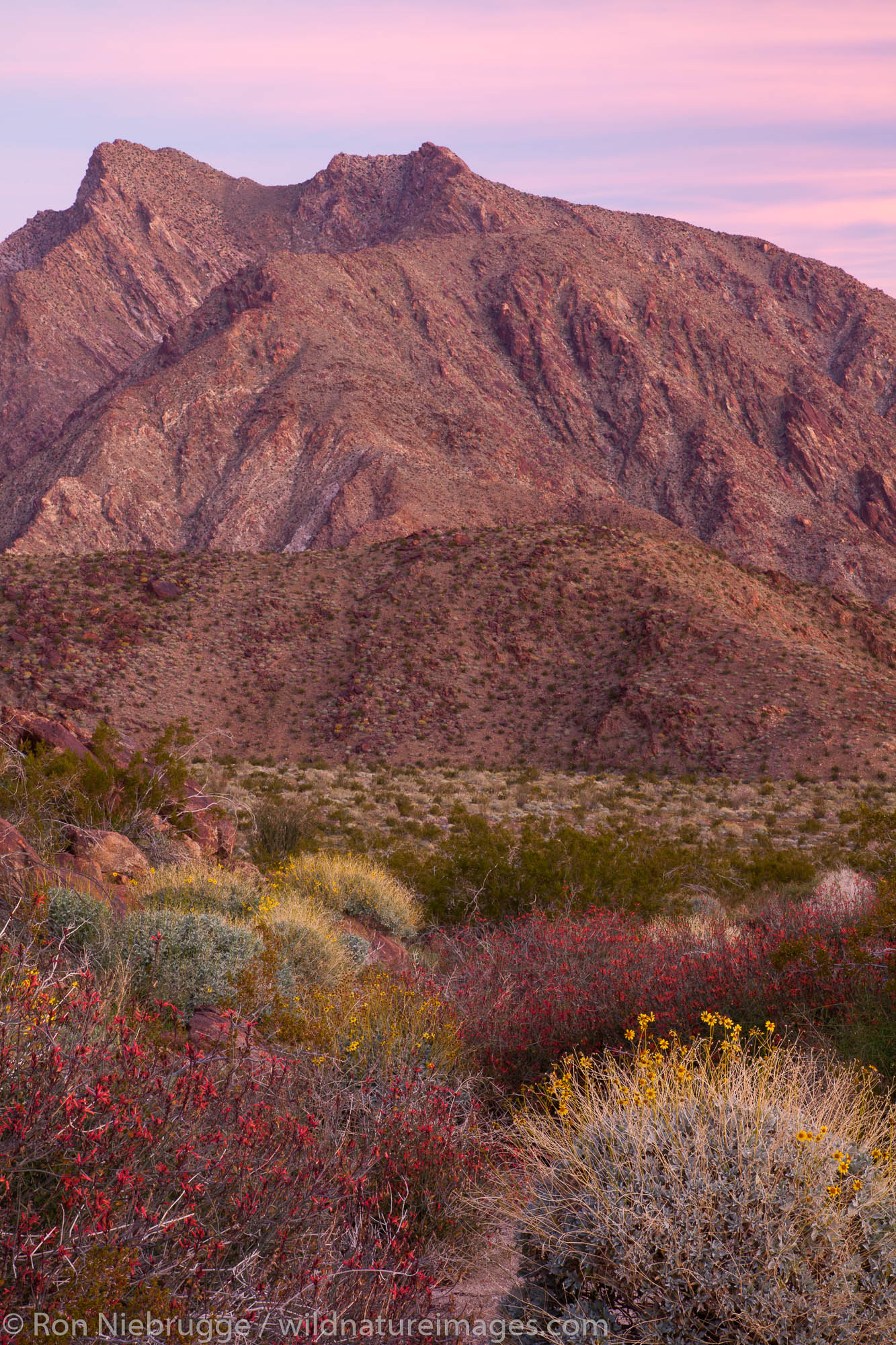 Indian Head mountain Anza Borrego Desert State Park, California