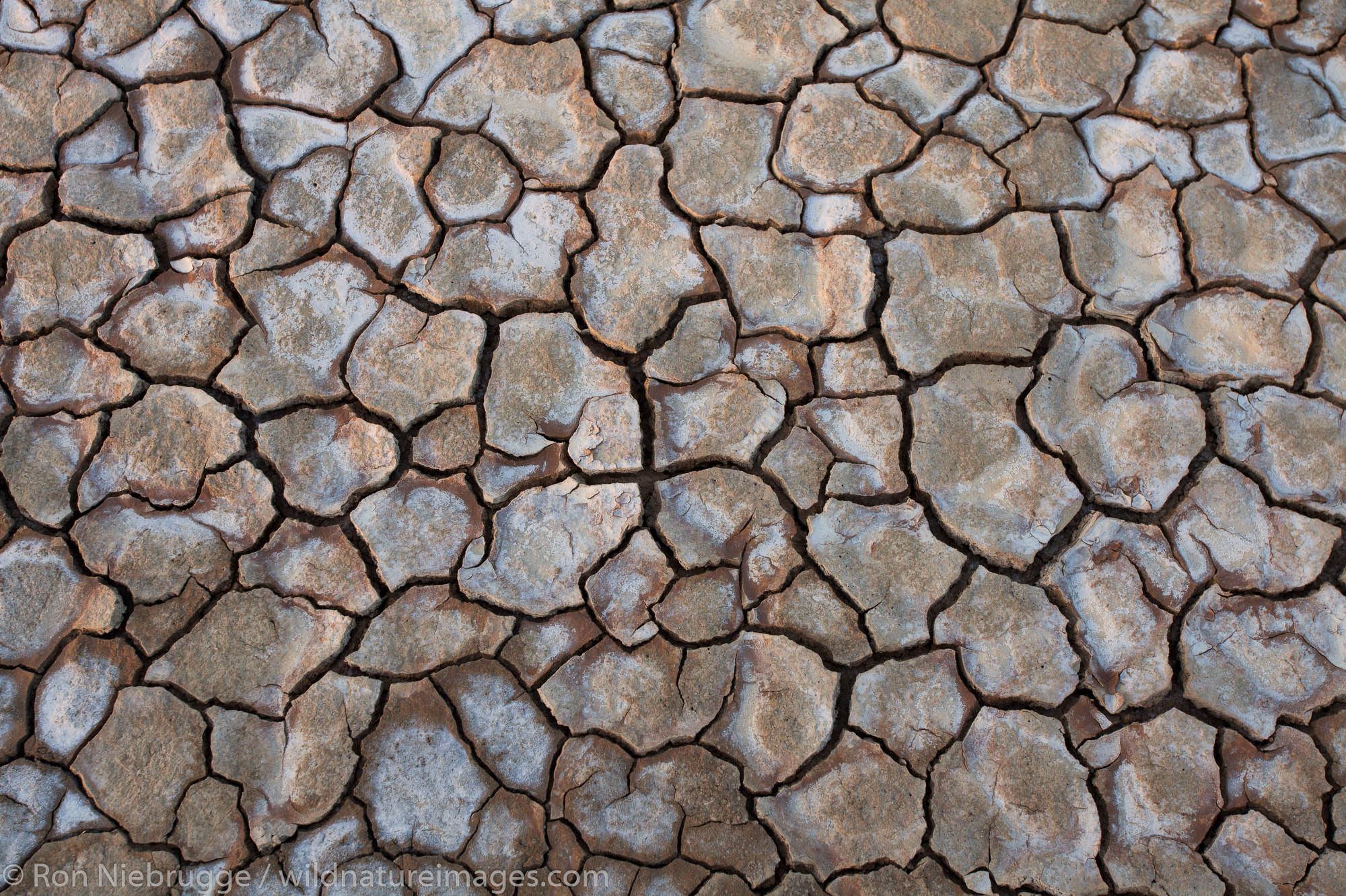 Dry lake bed, Anza-Borrego Desert State Park, California.