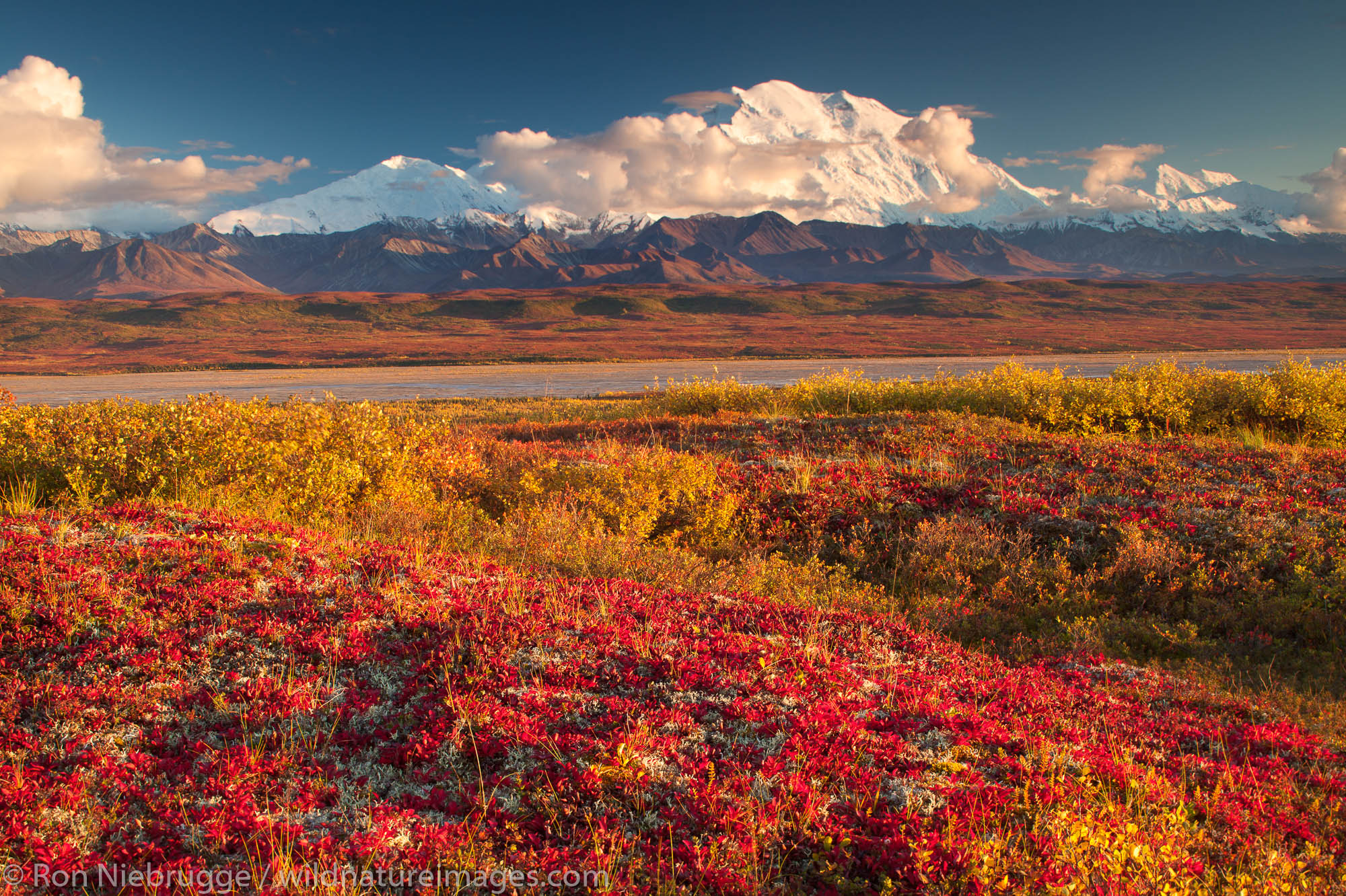 Mt. McKinley or Denali, Denali National Park, Alaska.