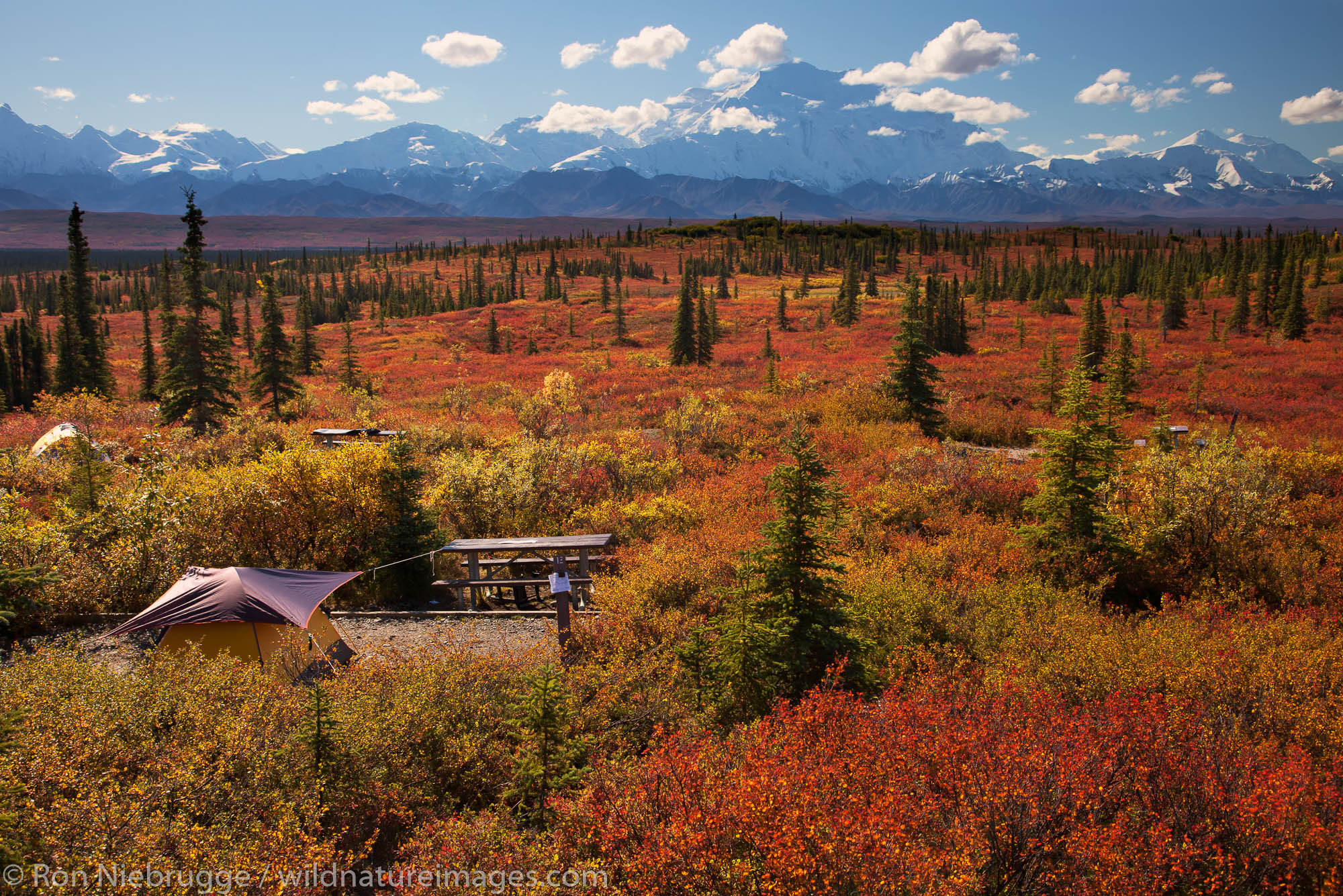 Wonder Lake Campground Photos by Ron Niebrugge
