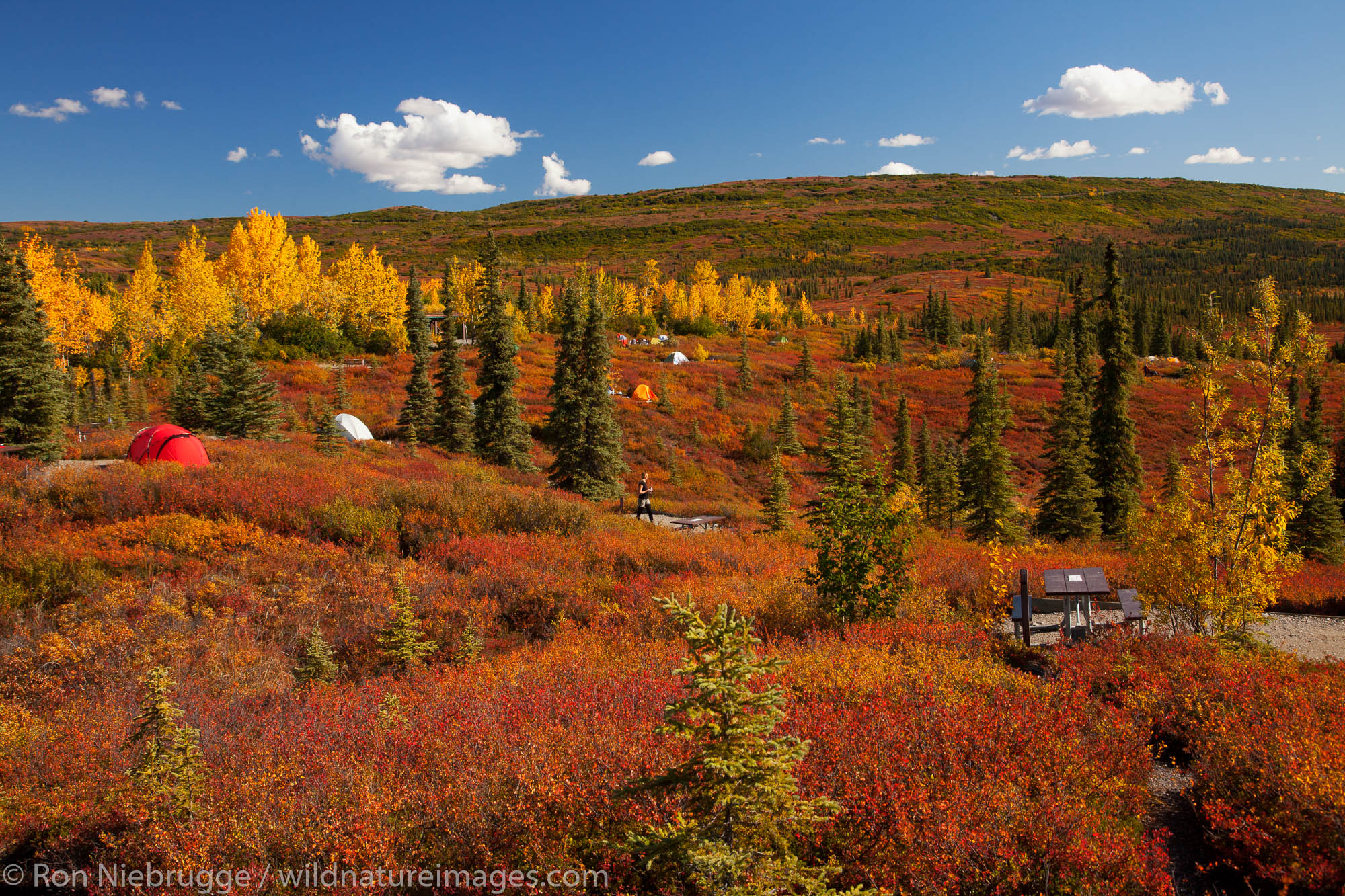 Tents at the Wonder Lake Campground, Denali National Park, Alaska.