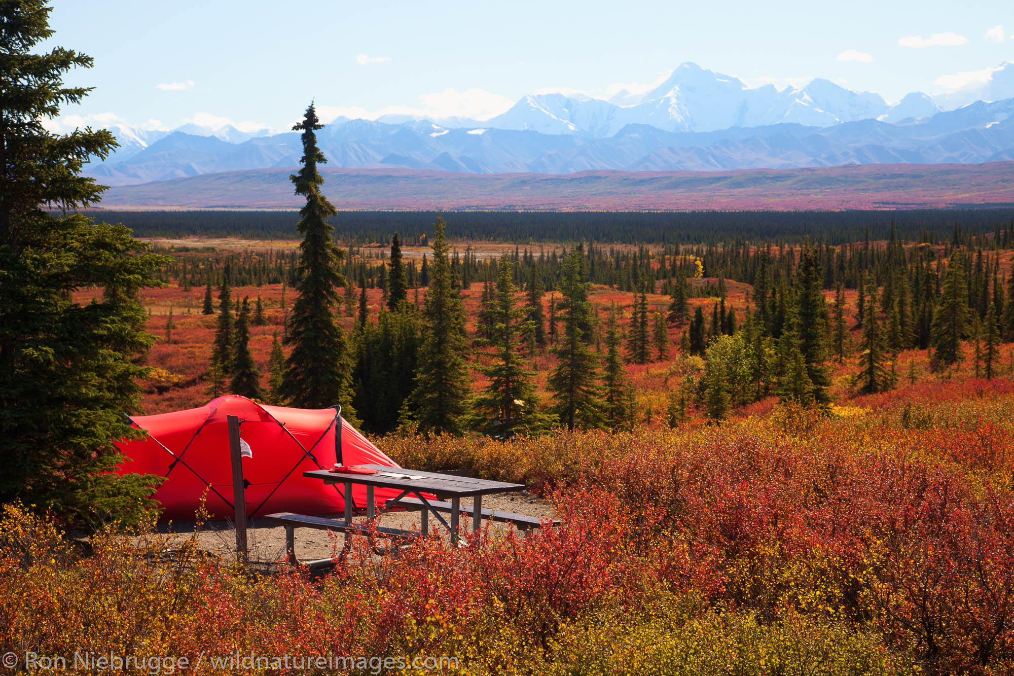 Wonder Lake Campground Photos by Ron Niebrugge