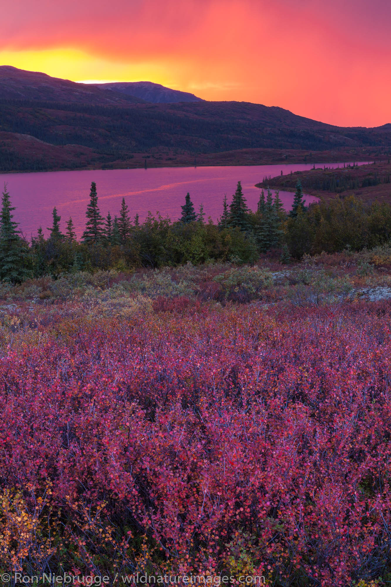 Sunset over Wonder Lake, Denali National Park, Alaska.