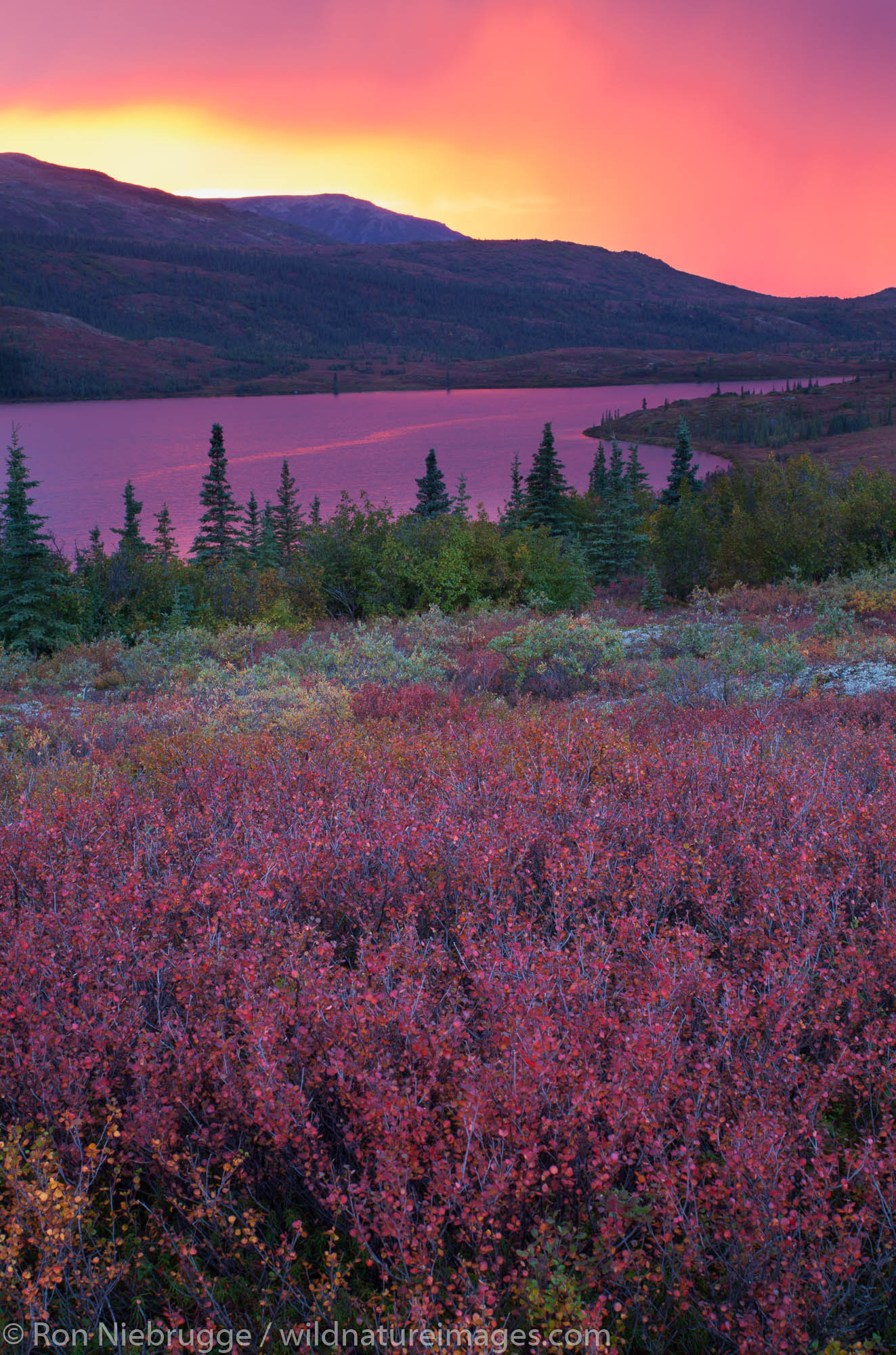 Sunset over Wonder Lake, Denali National Park, Alaska.