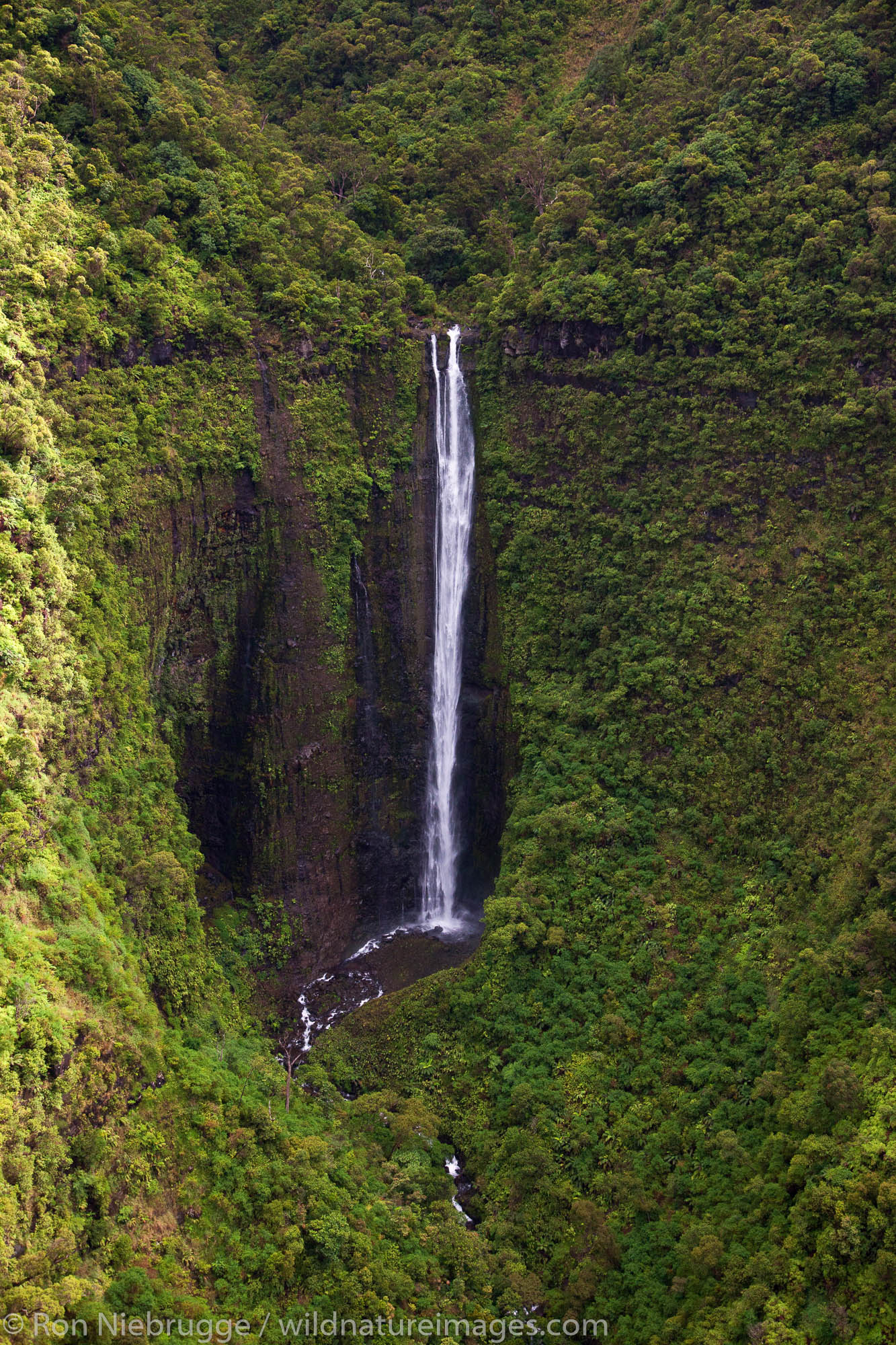 Aerial of a waterfall over Kauai, Hawaii.