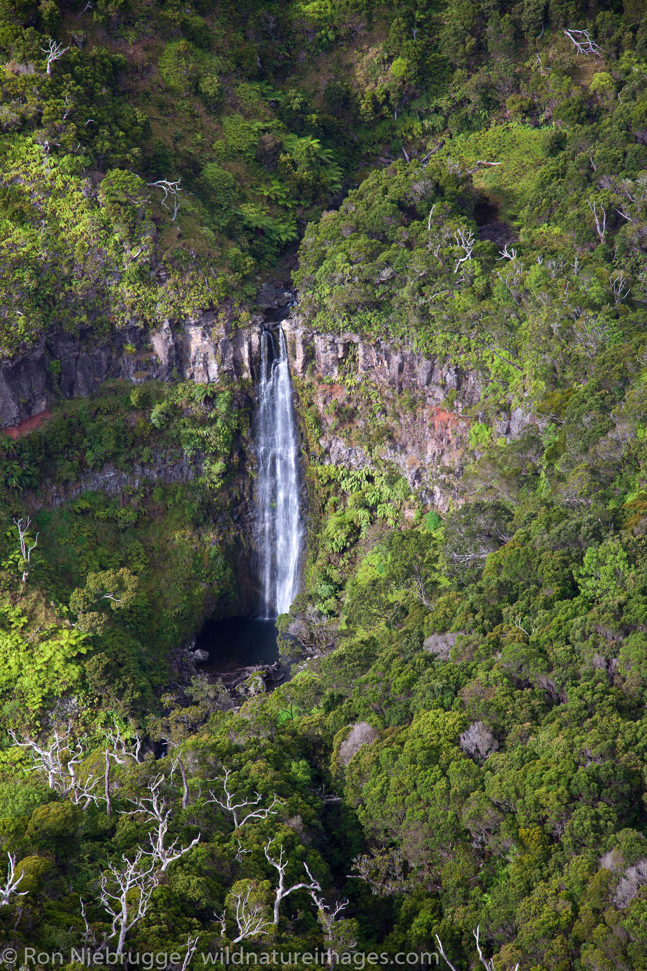 Aerial of a waterfall, Kauai, Hawaii.
