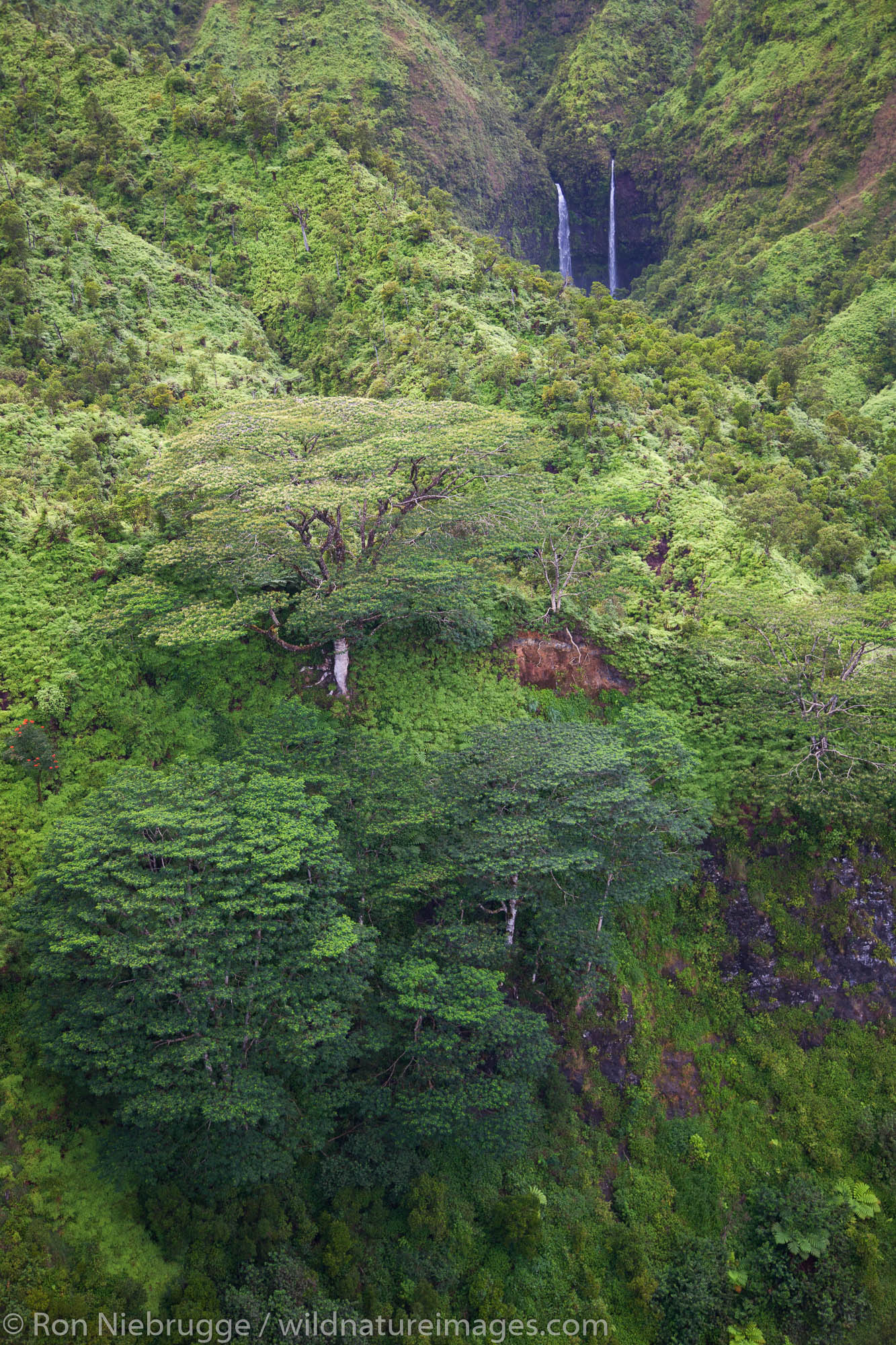 Aerial of waterfalls, Kauai, Hawaii.