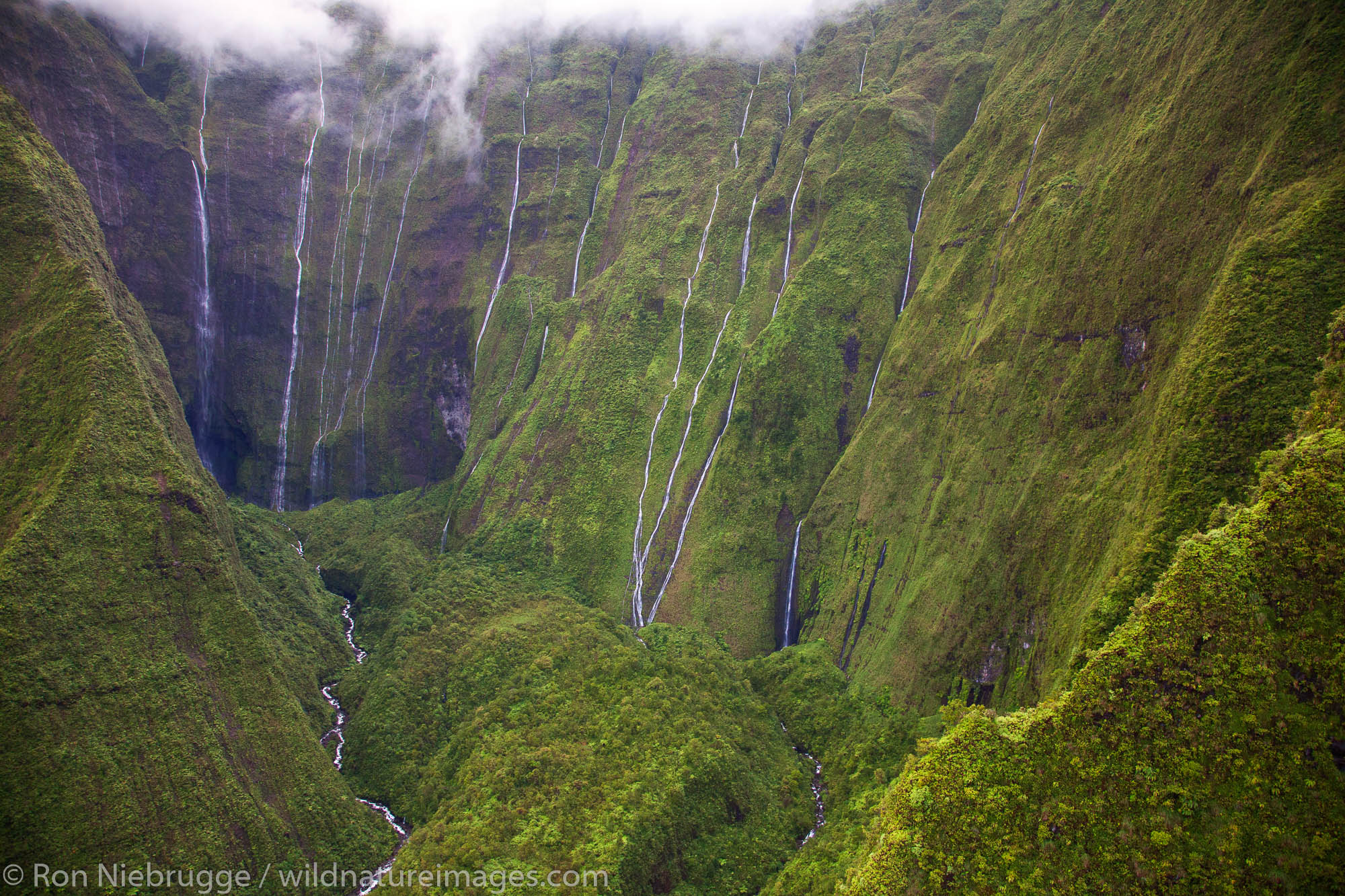 Aerial of waterfalls on Mt. Waialeale, Kauai, Hawaii.  This spot is often called The Wall of Tears of Mt. Waialeale.