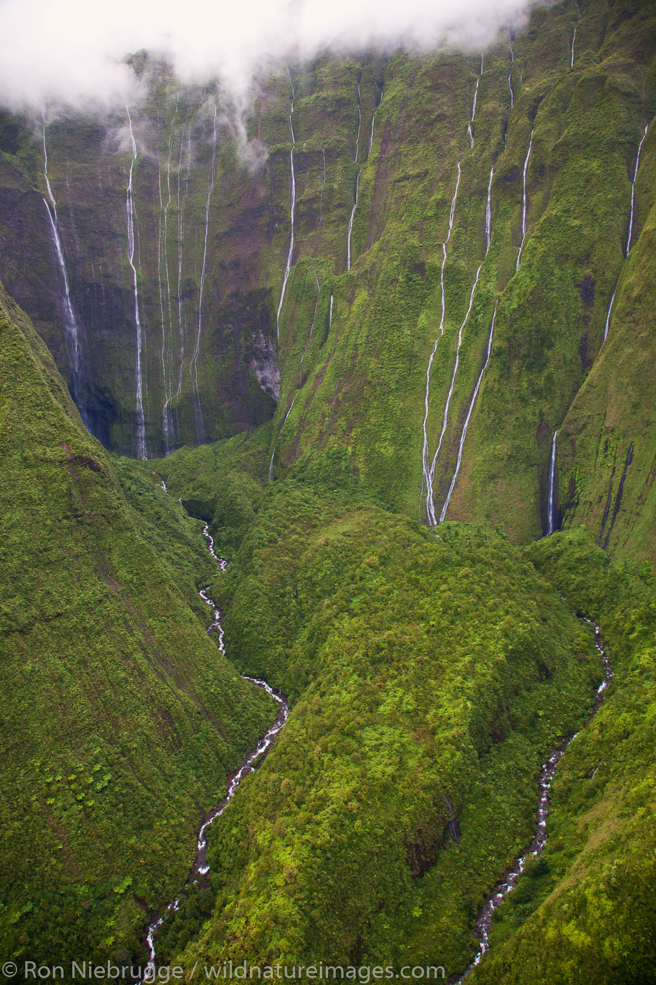 Aerial of waterfalls on Mt. Waialeale, Kauai, Hawaii.  This spot is often called The Wall of Tears of Mt. Waialeale.