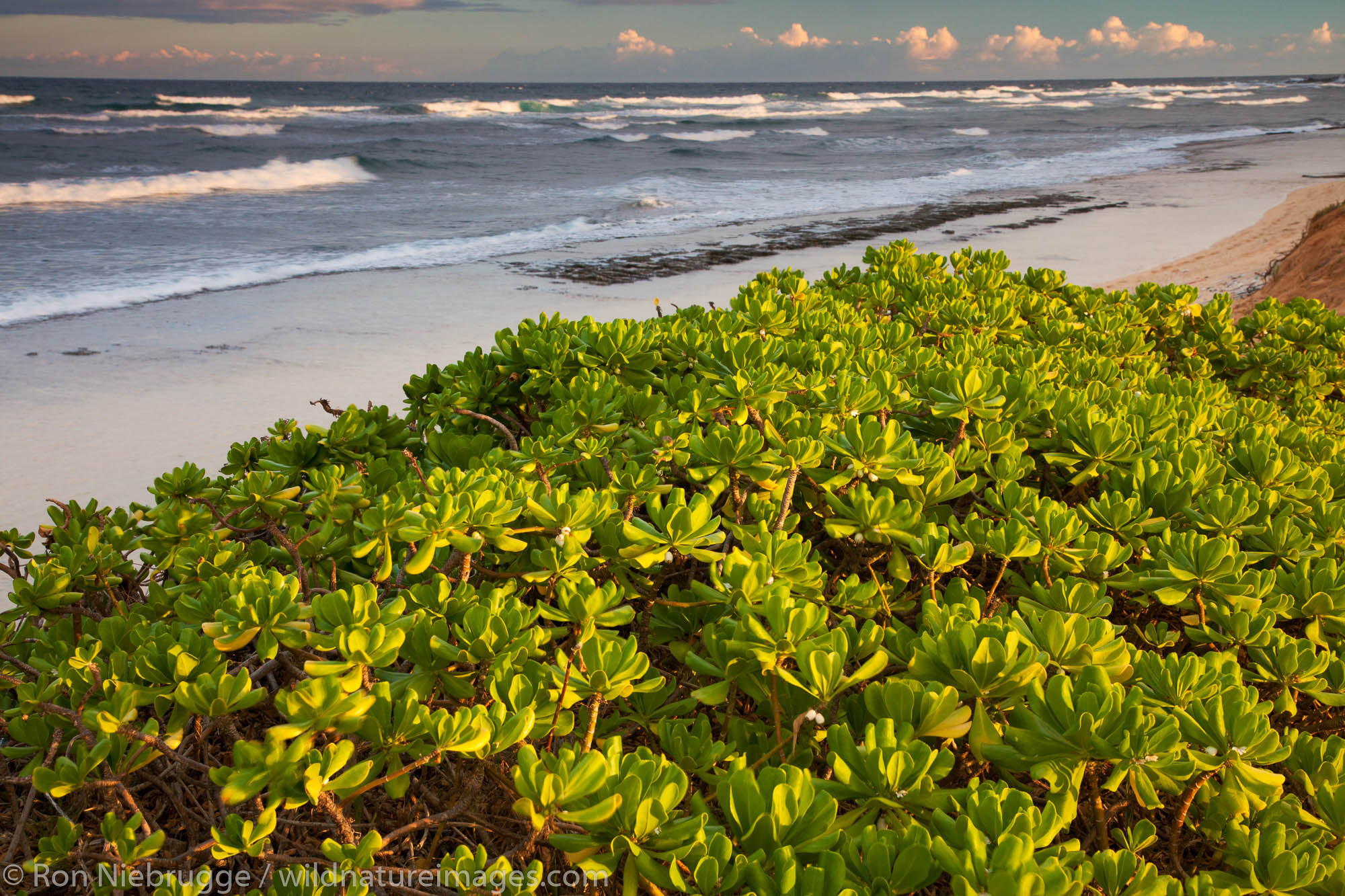 Nukolii Beach, also known as Kitchens Beach, Kauai, Hawaii.