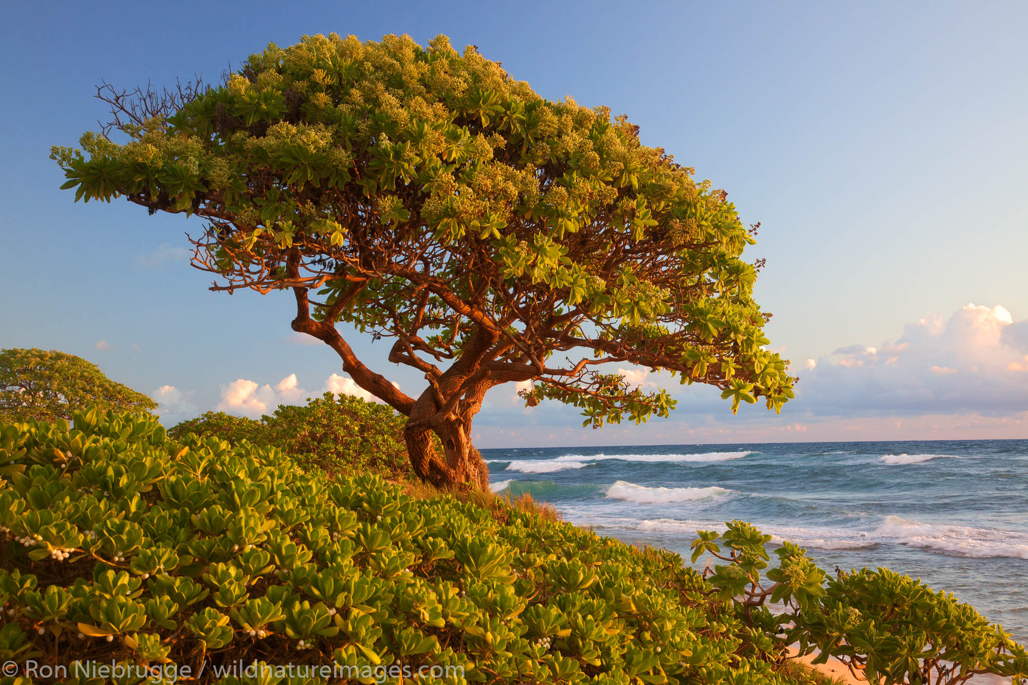 Nukoli'i Beach, also known as Kitchens Beach,  Kauai, Hawaii.