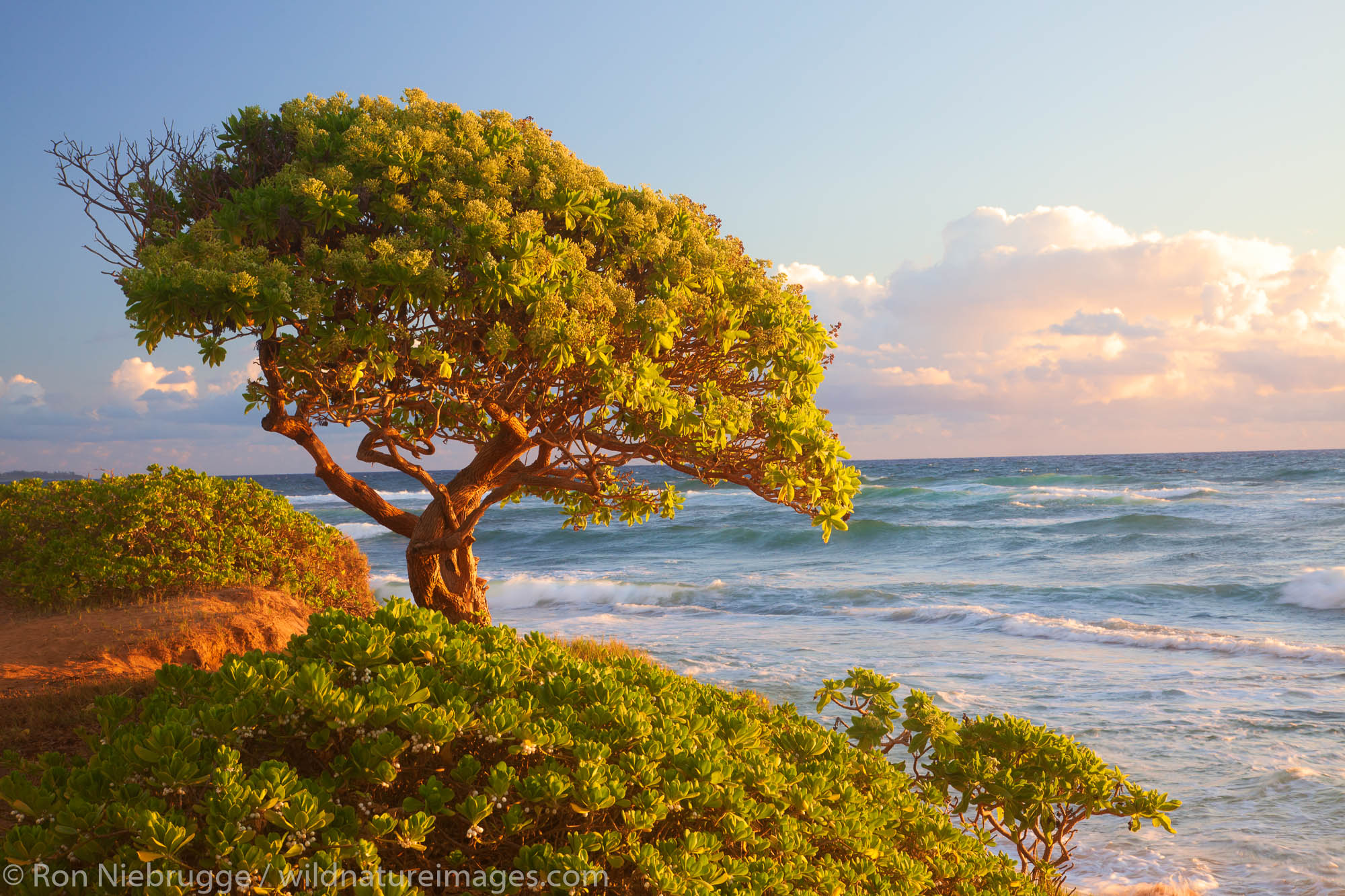 Nukoli'i Beach, also known as Kitchens Beach,  Kauai, Hawaii.