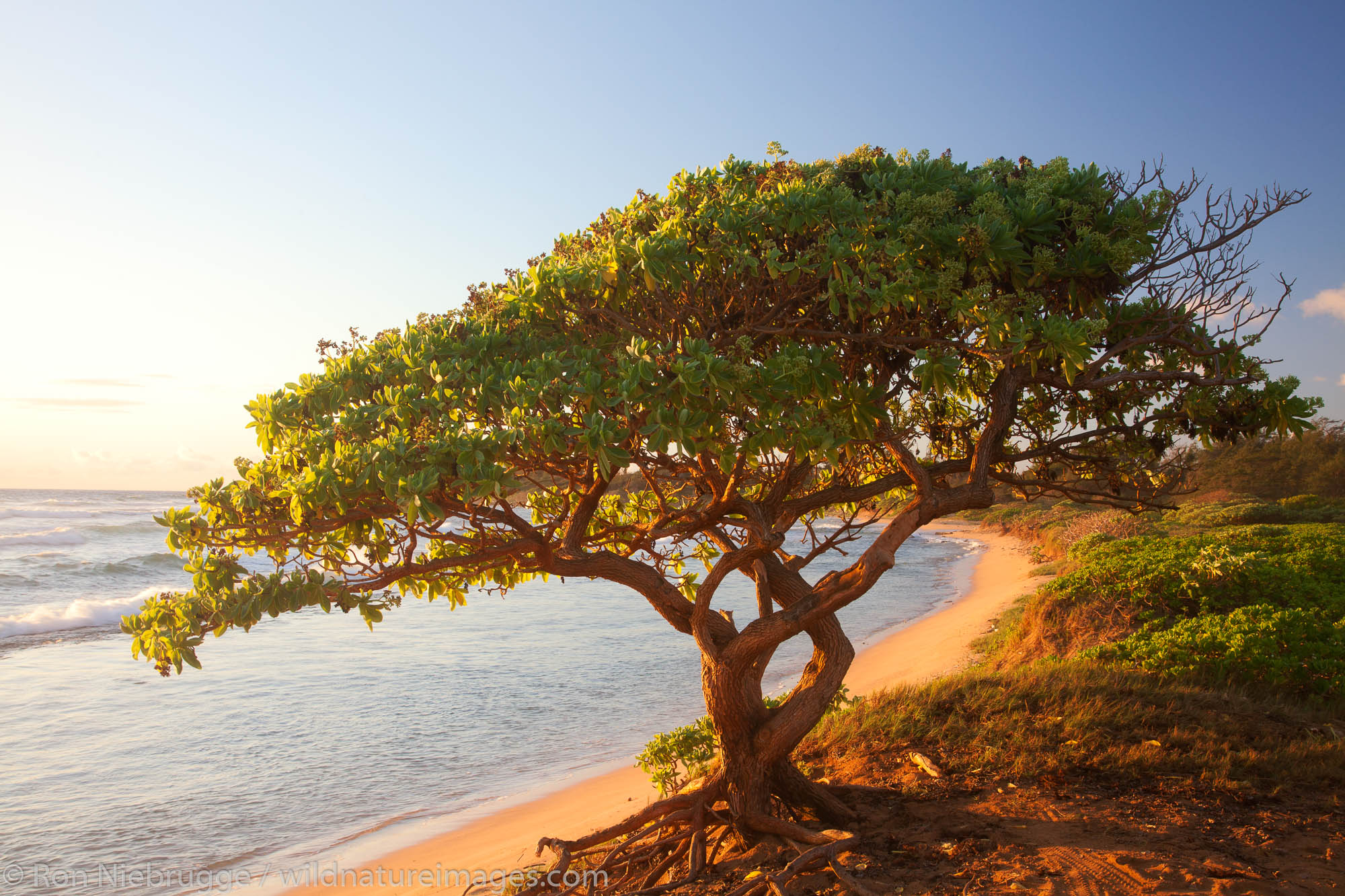 Nukoli'i Beach, also known as Kitchens Beach,  Kauai, Hawaii.