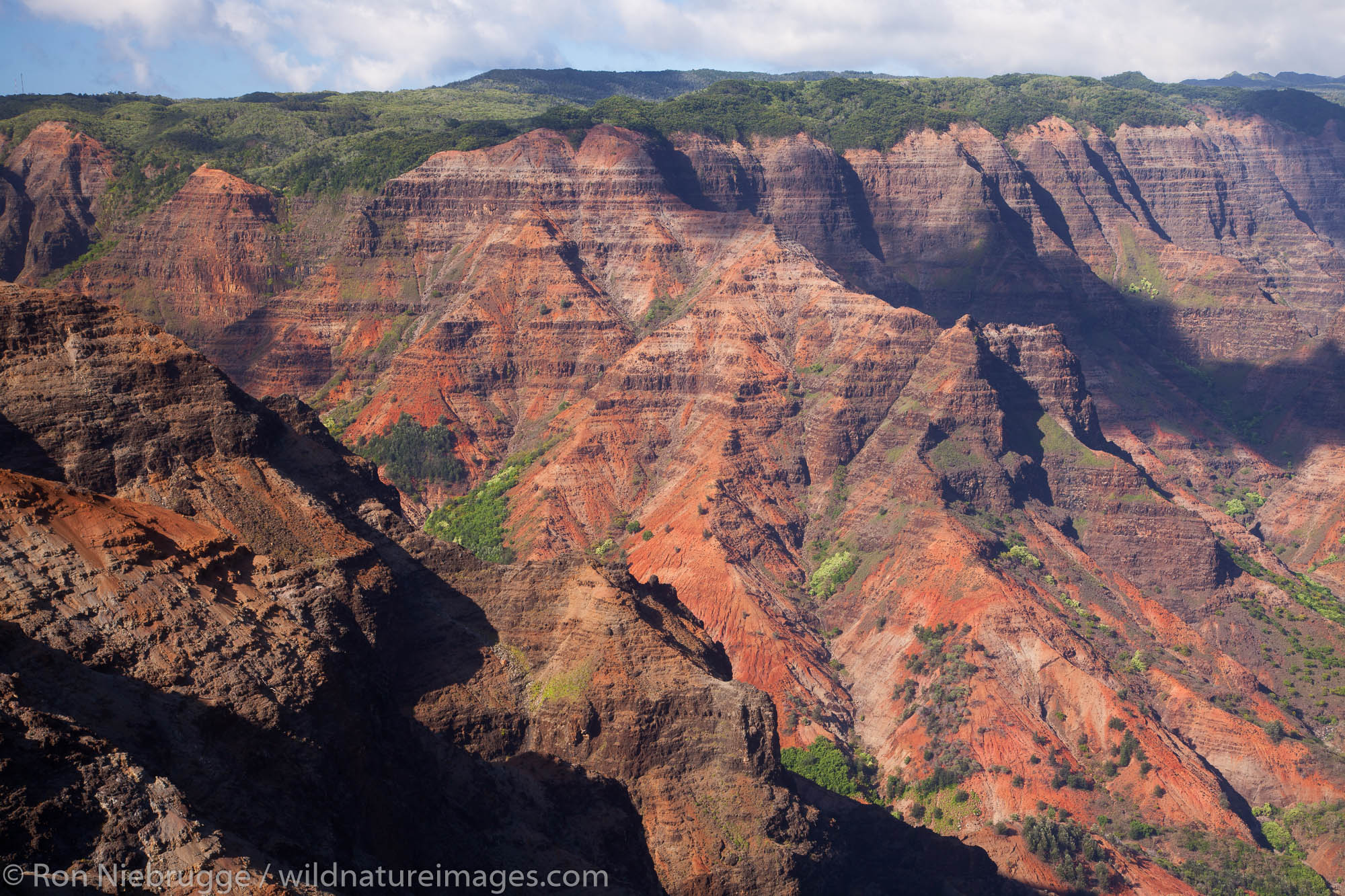 Waimea Canyon, also called the Grand Canyon of the Pacific, Kauai, Hawaii.