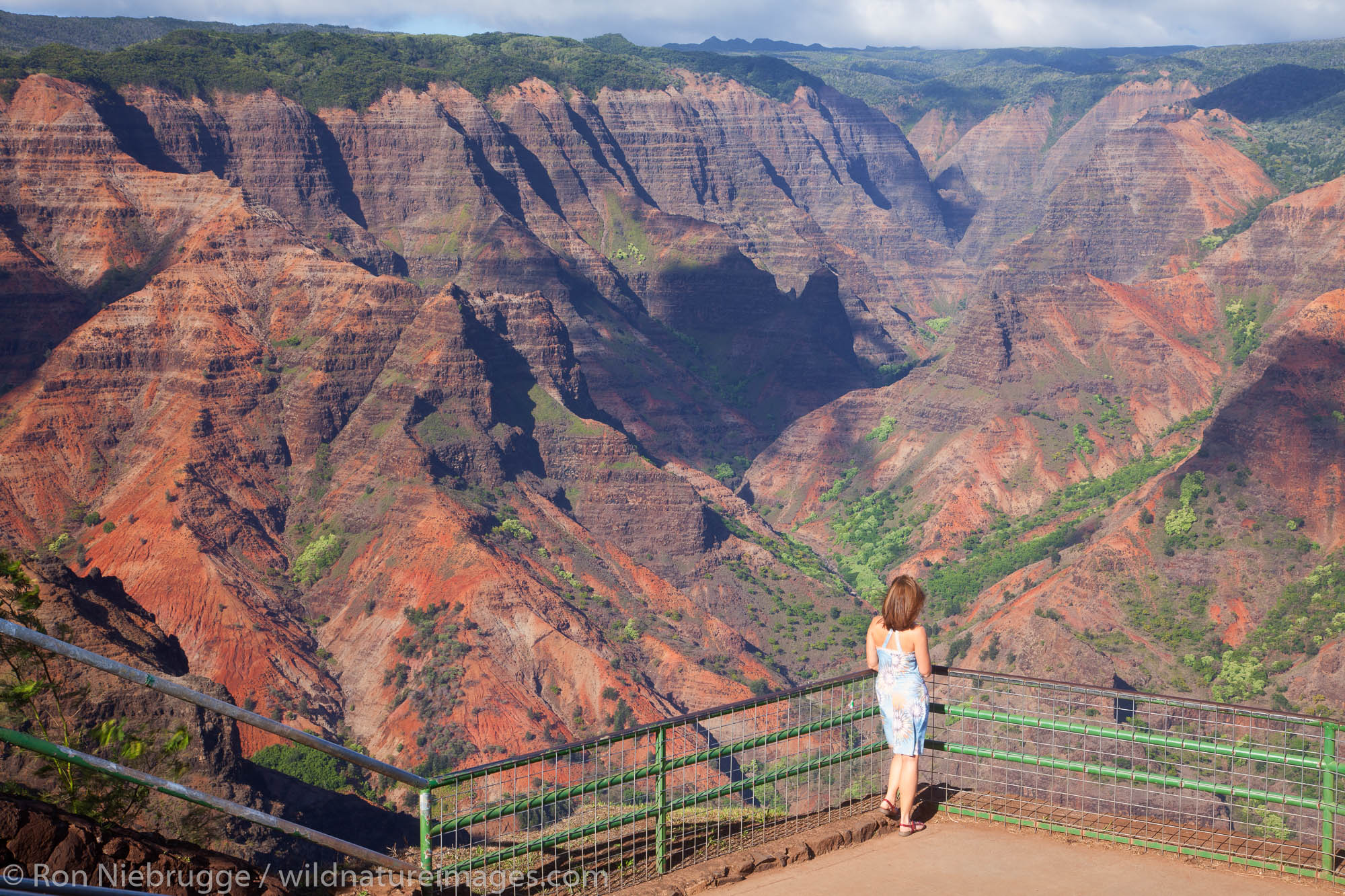 Waimea Canyon, Kauai, Hawaii | Photos by Ron Niebrugge 