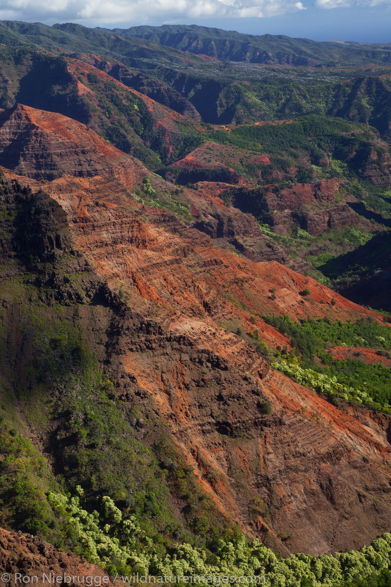 Waimea Canyon, also called the Grand Canyon of the Pacific, Kauai, Hawaii.