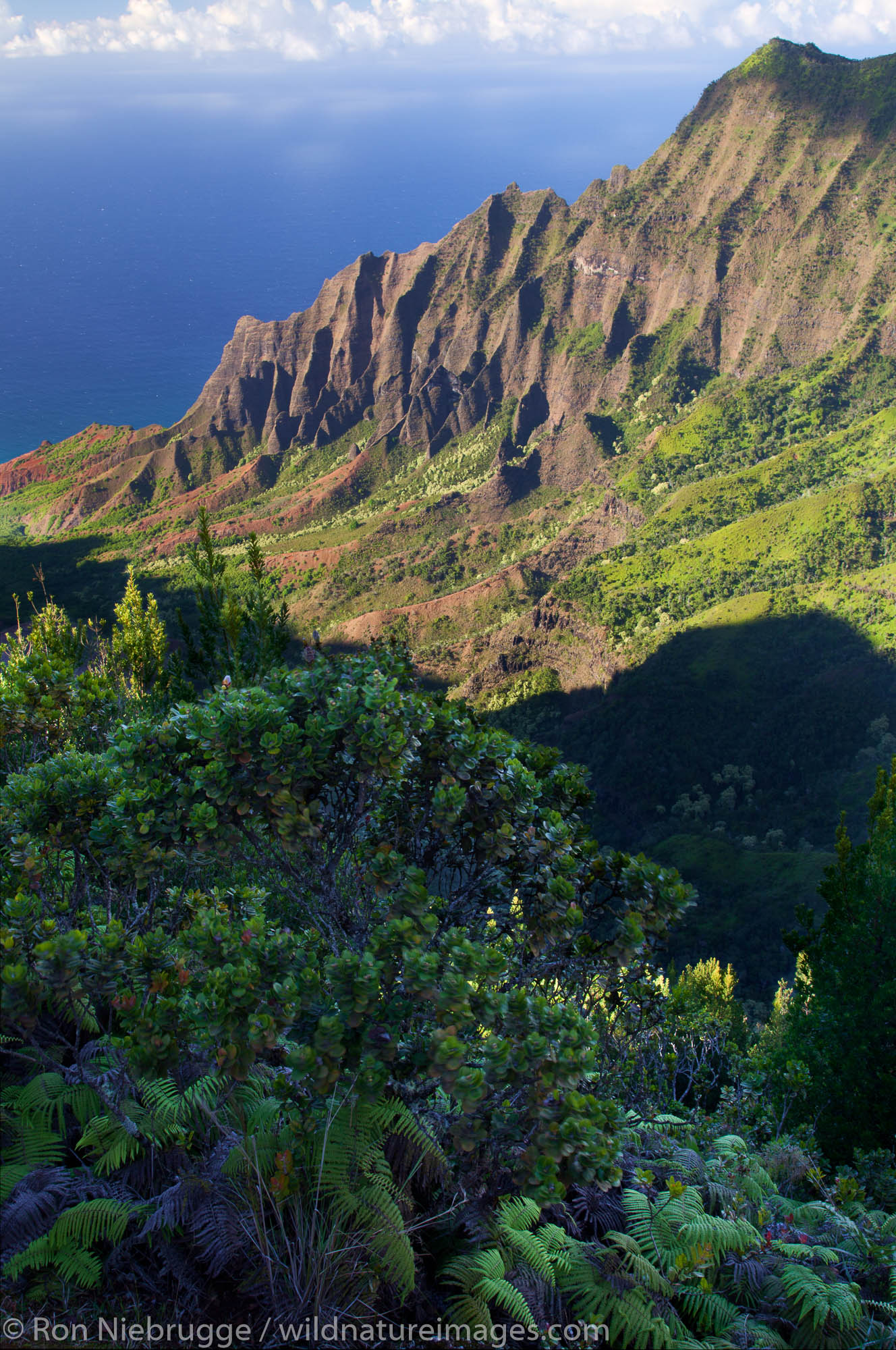The Kalalau Valley of the Na Pali Coast, Kauai, Hawaii.