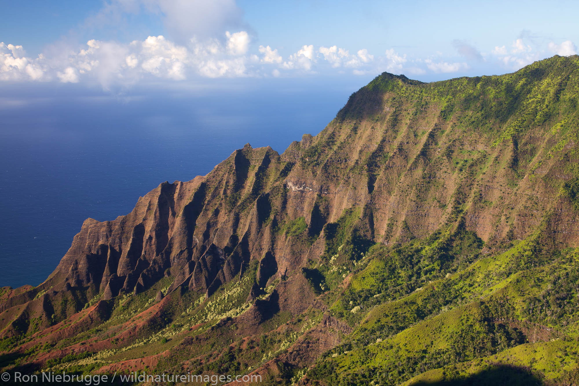 The Kalalau Valley of the Na Pali Coast, Kauai, Hawaii.
