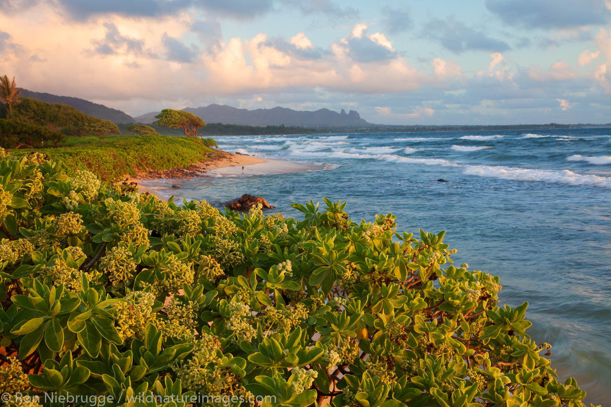 Nukoli'i Beach, also known as Kitchens Beach, Lihu'e, Kauai, Hawaii.