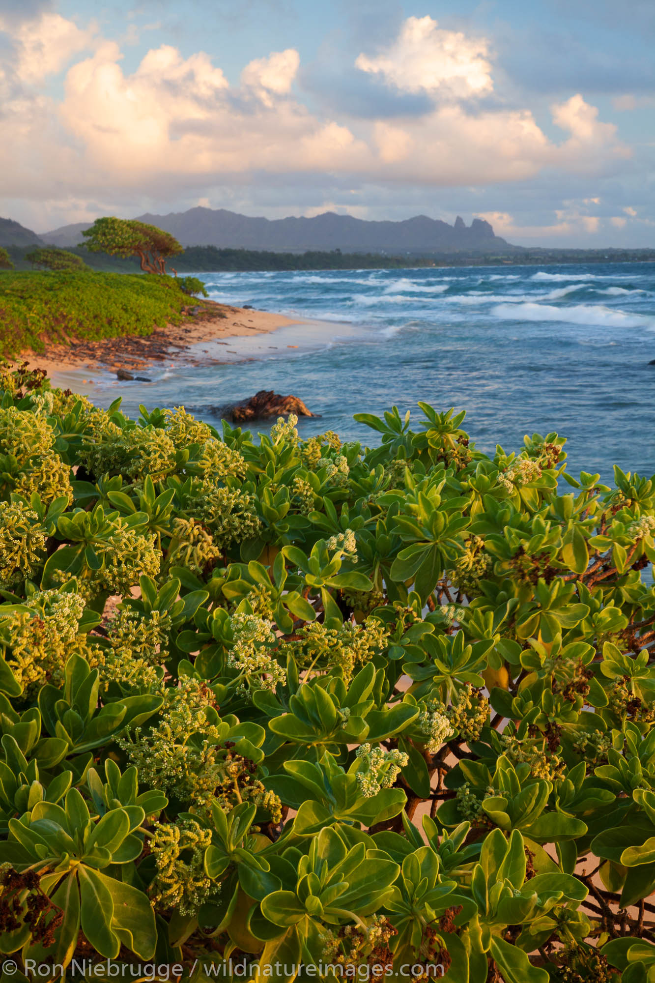 Nukoli'i Beach, also known as Kitchens Beach, Lihu'e, Kauai, Hawaii.