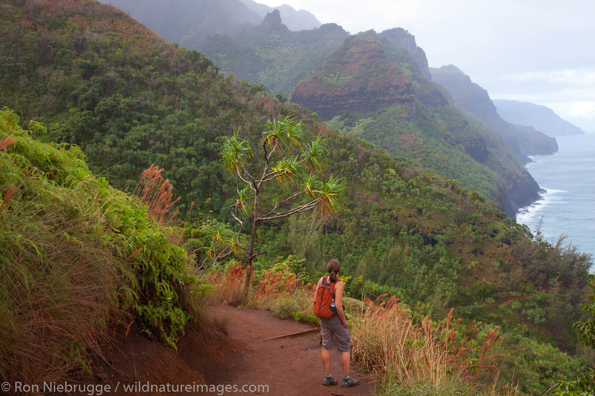 A hiker on the Kalalau Trail, Na Pali Coast, Kauai, Hawaii.  (model released)