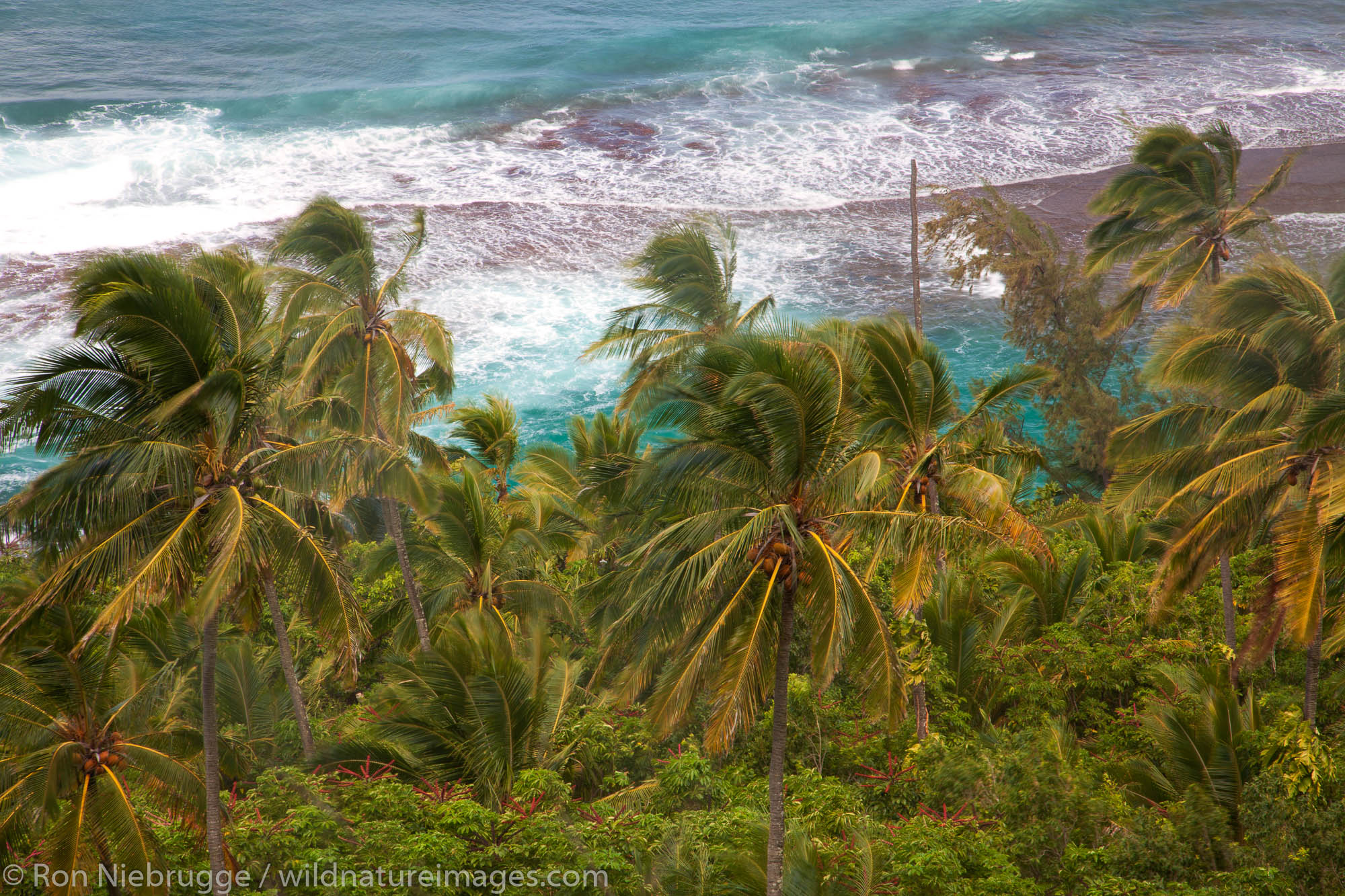 Ke'e Beach and the Na Pali Coast from the Kalalau Trail, Kauai, Hawaii.