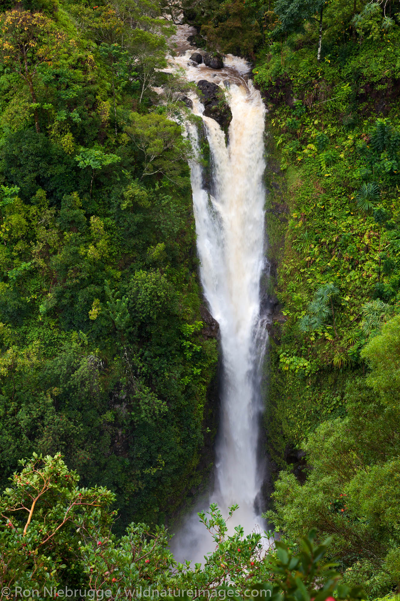 Lower Puohokamoa Falls on the Hana Highway, near Hana, Maui, Hawaii.