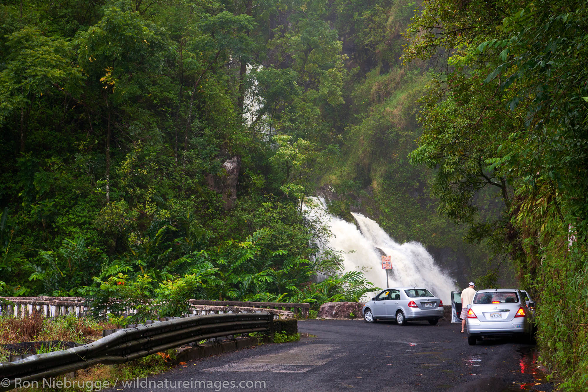 Waterfall along the Hana Highway, near Hana, Maui, Hawaii.