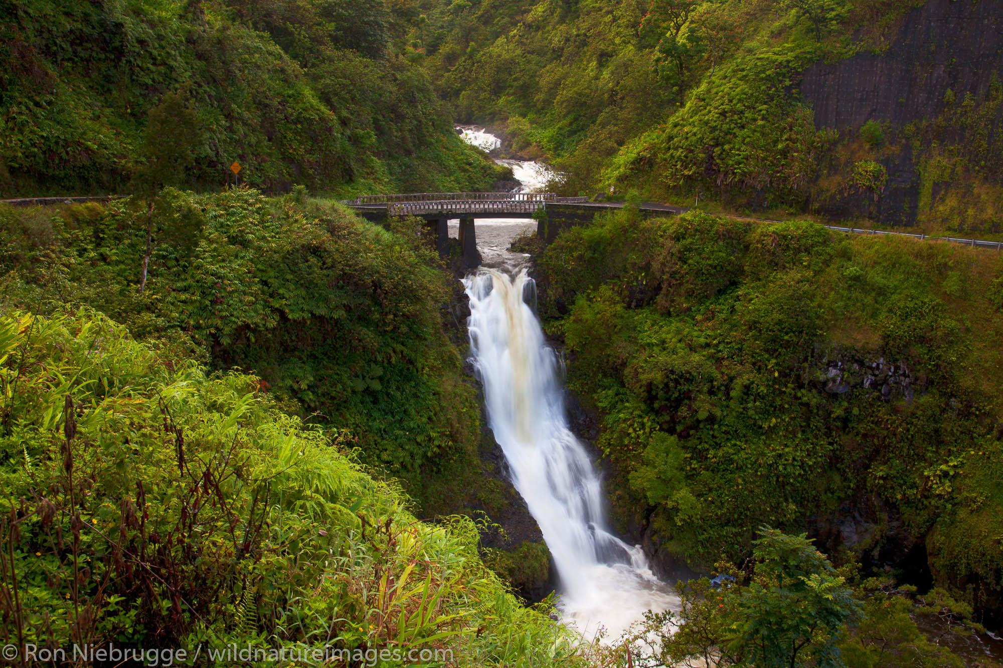 Waterfall along the Hana Highway, near Hana, Maui, Hawaii.