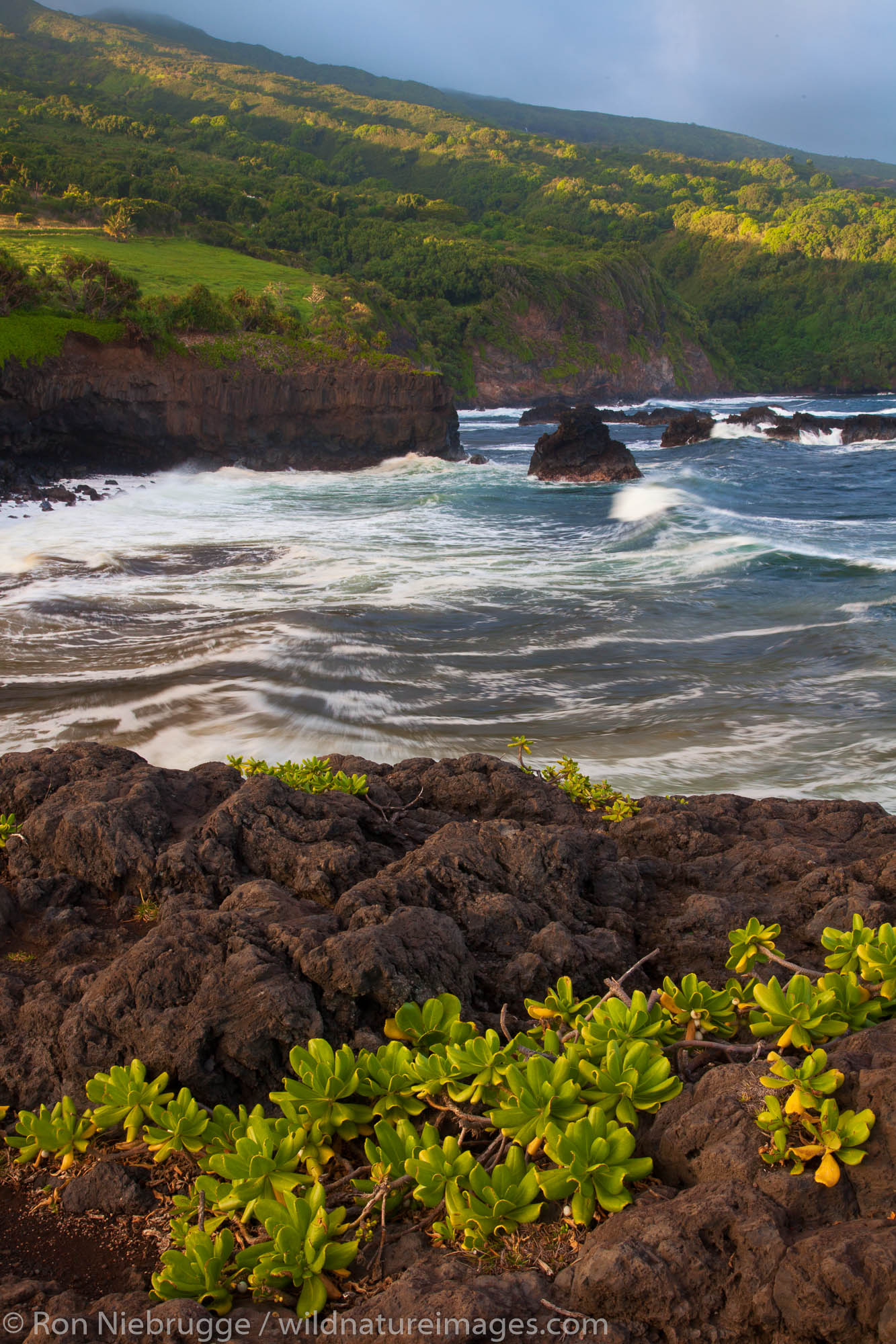 Pacific Ocean at Ohe'o Gulch - aka Seven Sacred Pools, Haleakala National Park, near Hana, Maui, Hawaii.