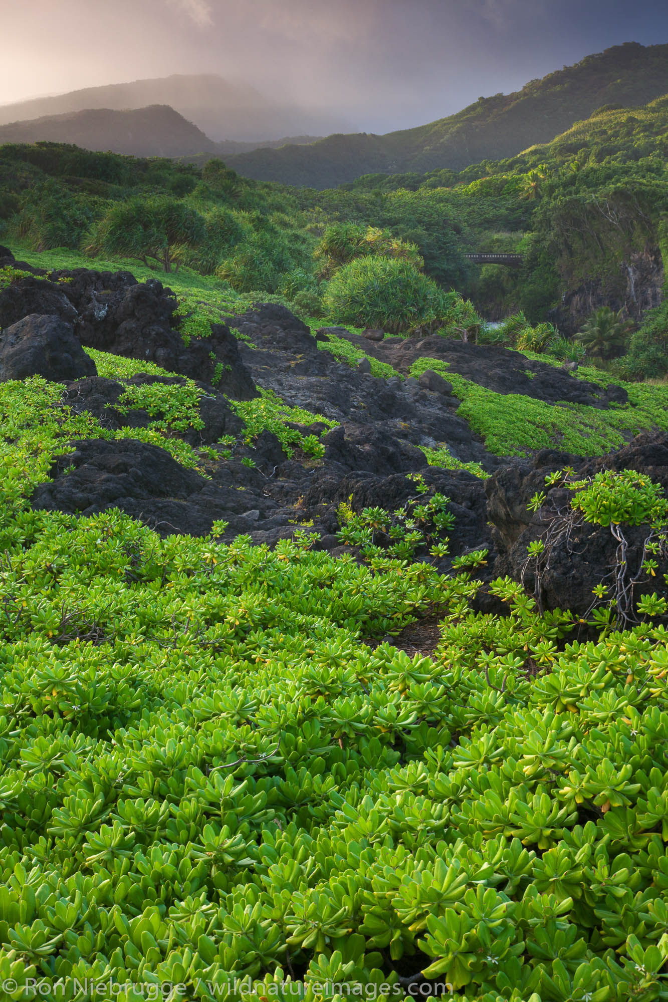 Ohe'o Gulch - aka Seven Sacred Pools, Haleakala National Park, near Hana, Maui, Hawaii.