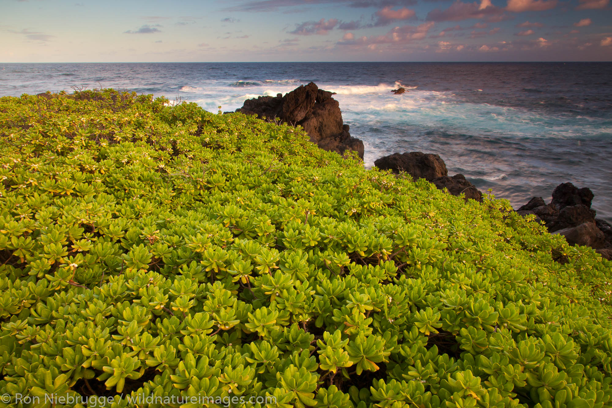 Pacific Ocean at Ohe'o Gulch - aka Seven Sacred Pools, Haleakala National Park, near Hana, Maui, Hawaii.