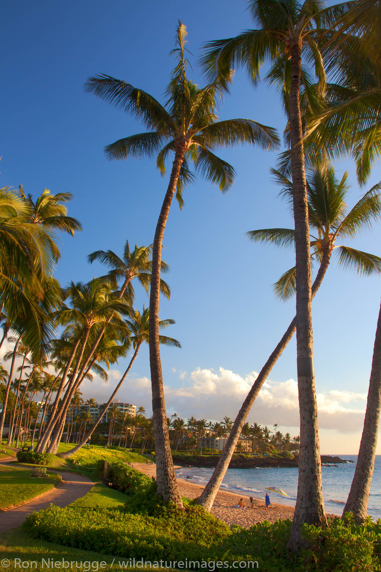 Ulua Beach, Wailea, Maui, Hawaii.