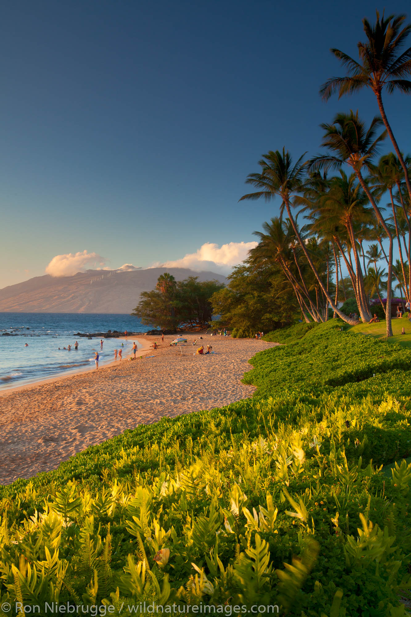 Ulua Beach, Wailea, Maui, Hawaii.