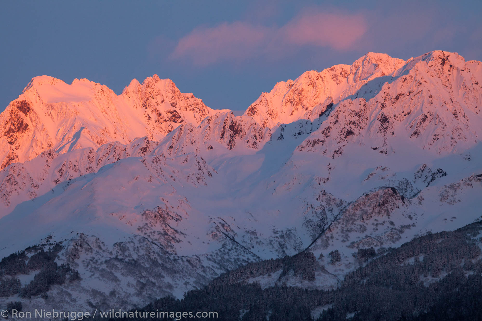Winter in Alaska Alpenglow on Mt. Alice, Chugach National Forest, Seward, Alaska.