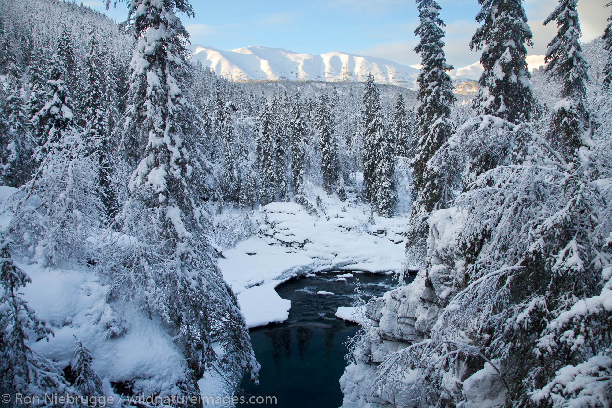 Six Mile Creek, Chugach National Forest, Alaska.