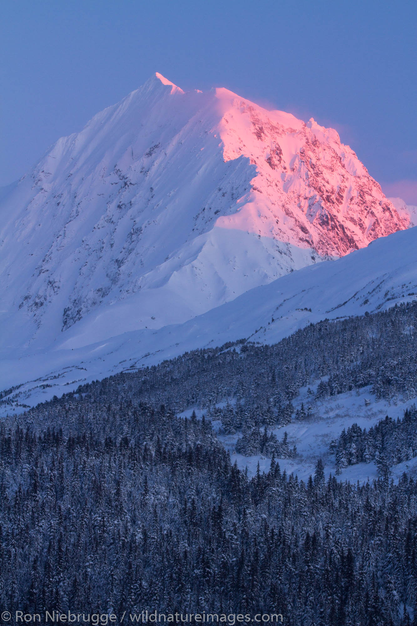 Chugach National Forest, Alaska.