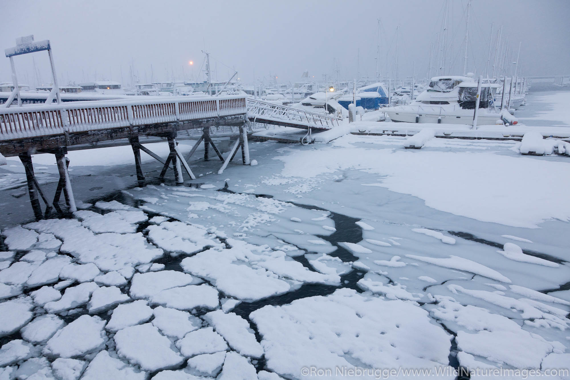 The small boat harbor during a winter storm, Seward, Alaska.