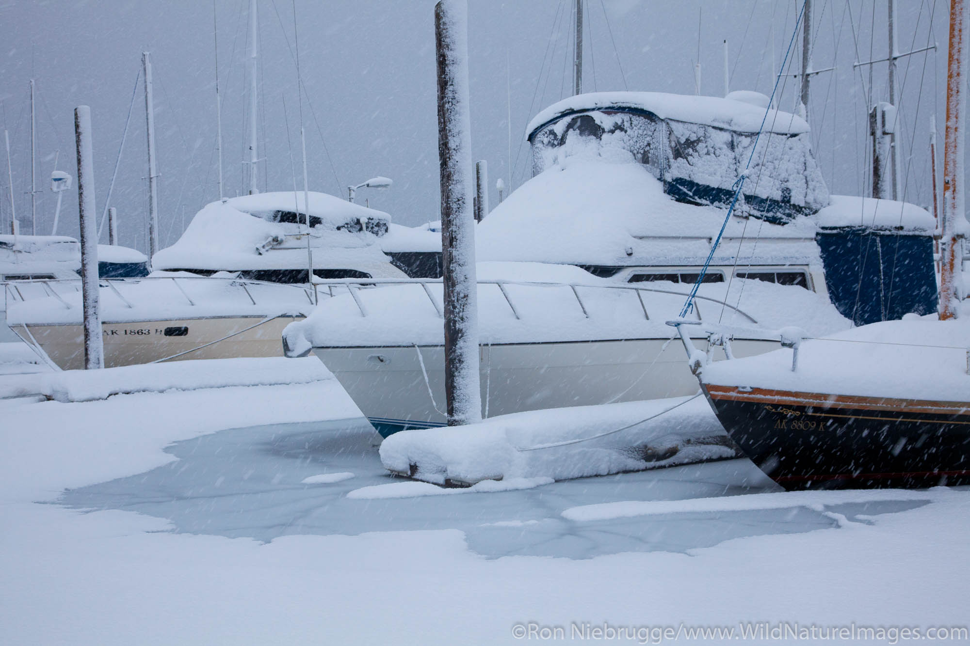 The small boat harbor during a winter storm, Seward, Alaska.