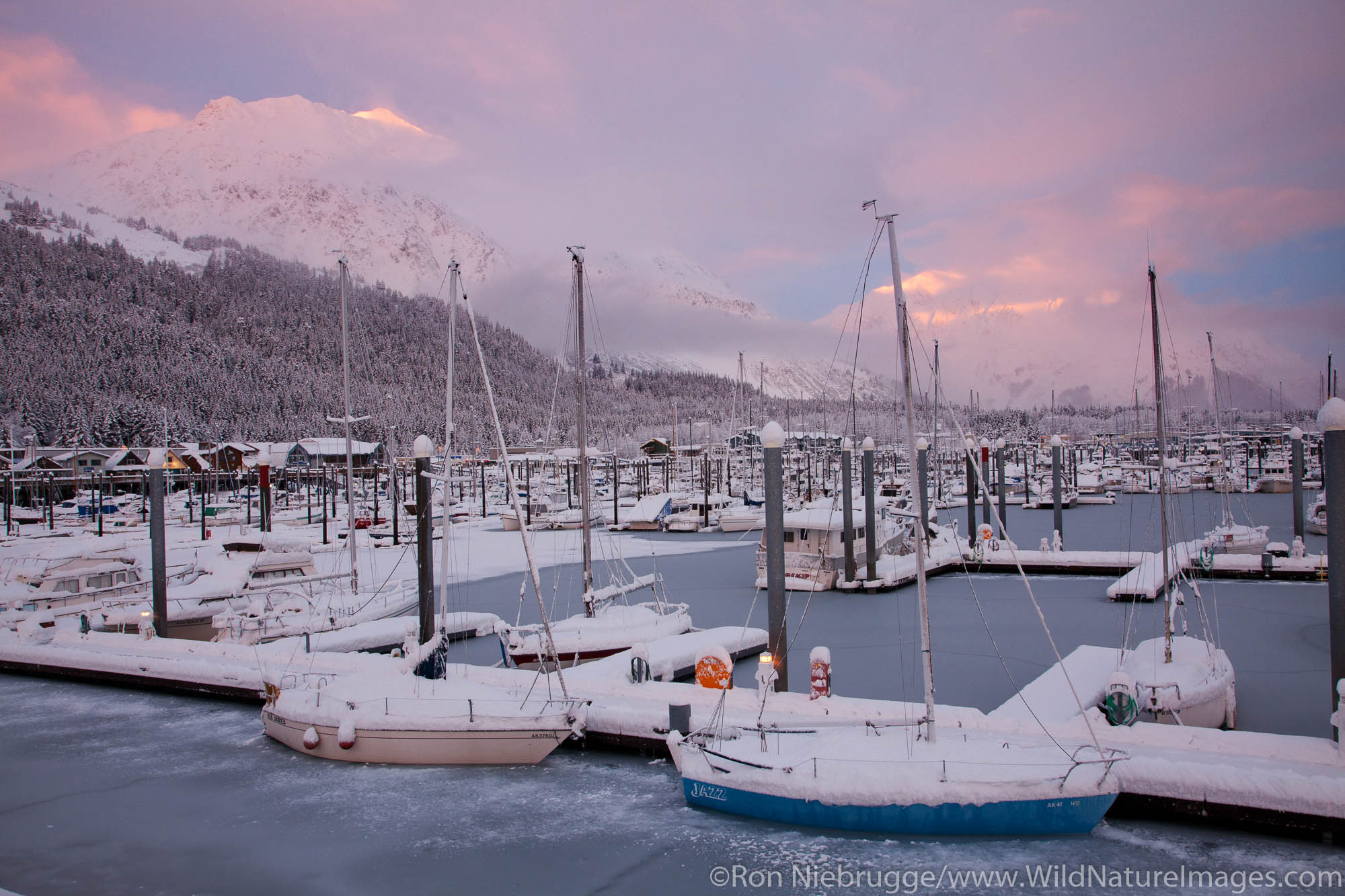 Seward Small Boat Harbor, Seward, Alaska.