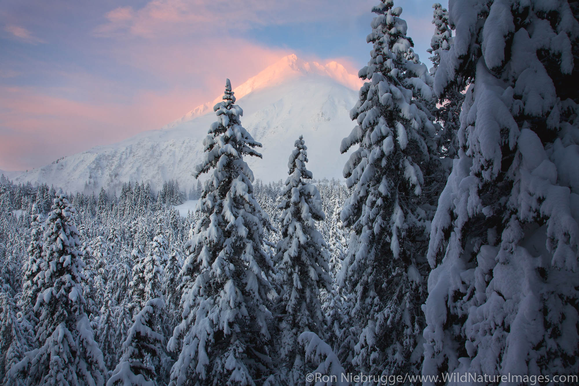 From the Lost Lake Trail in the winter, Chugach National Forest, Alaska.