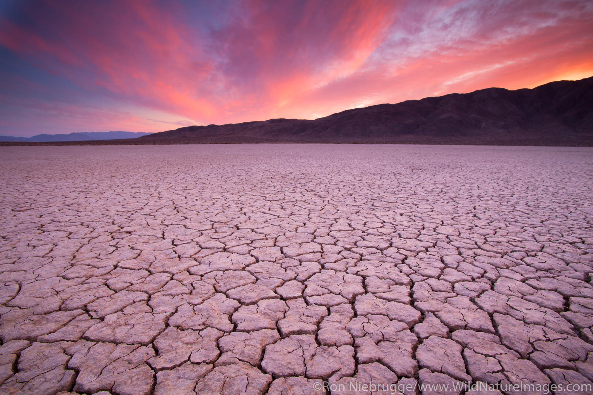 Dry lake bed, Anza-Borrego Desert State Park, California.