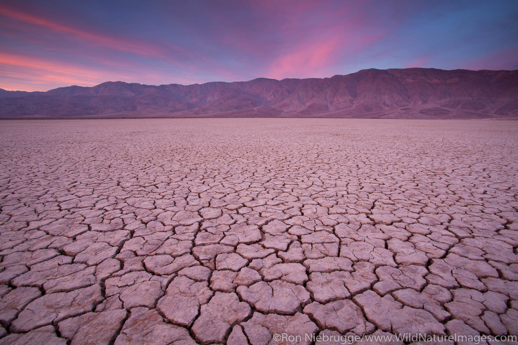 Dry lake bed, Anza-Borrego Desert State Park, California.